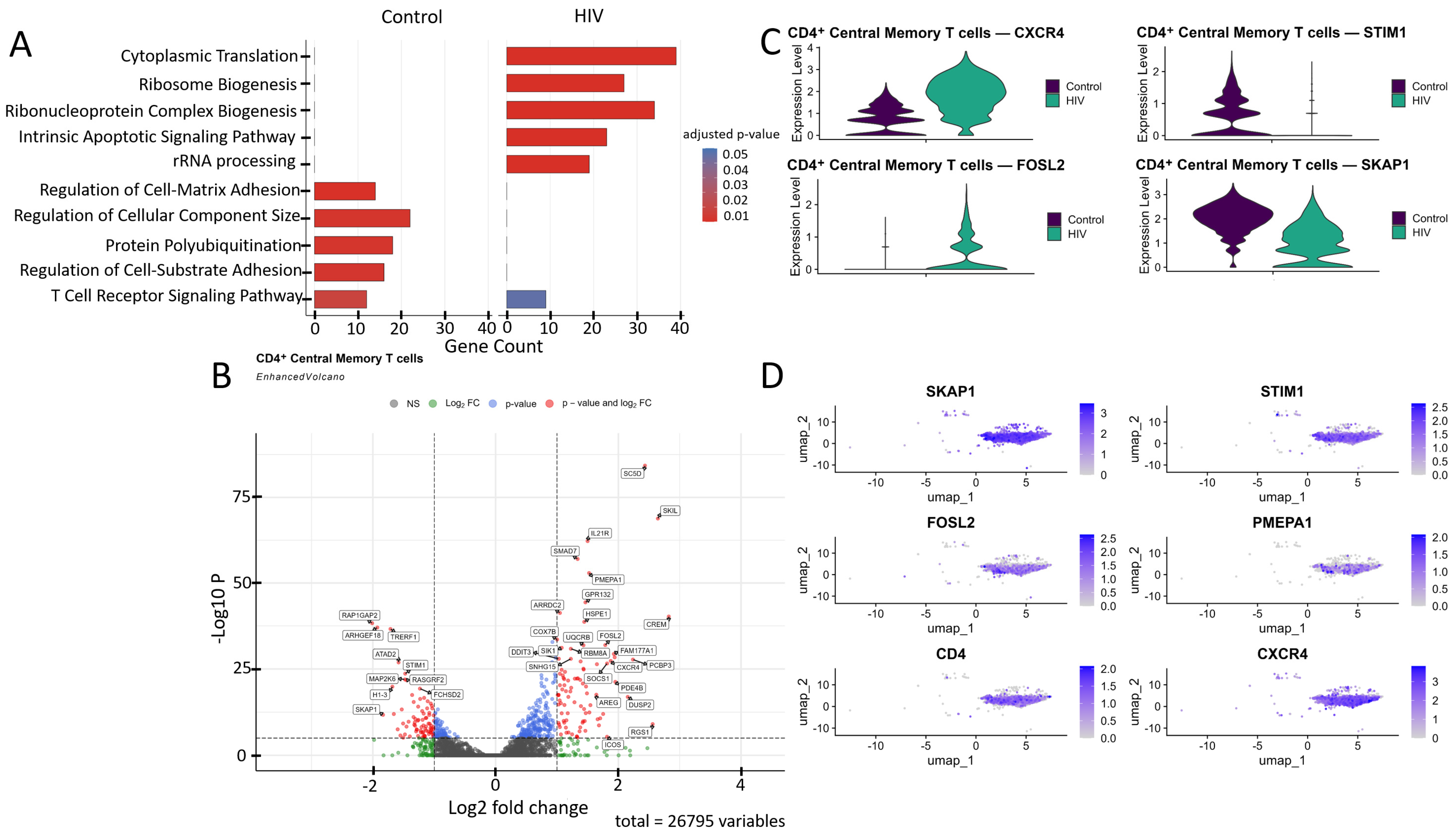 Viruses 18 00204 g004