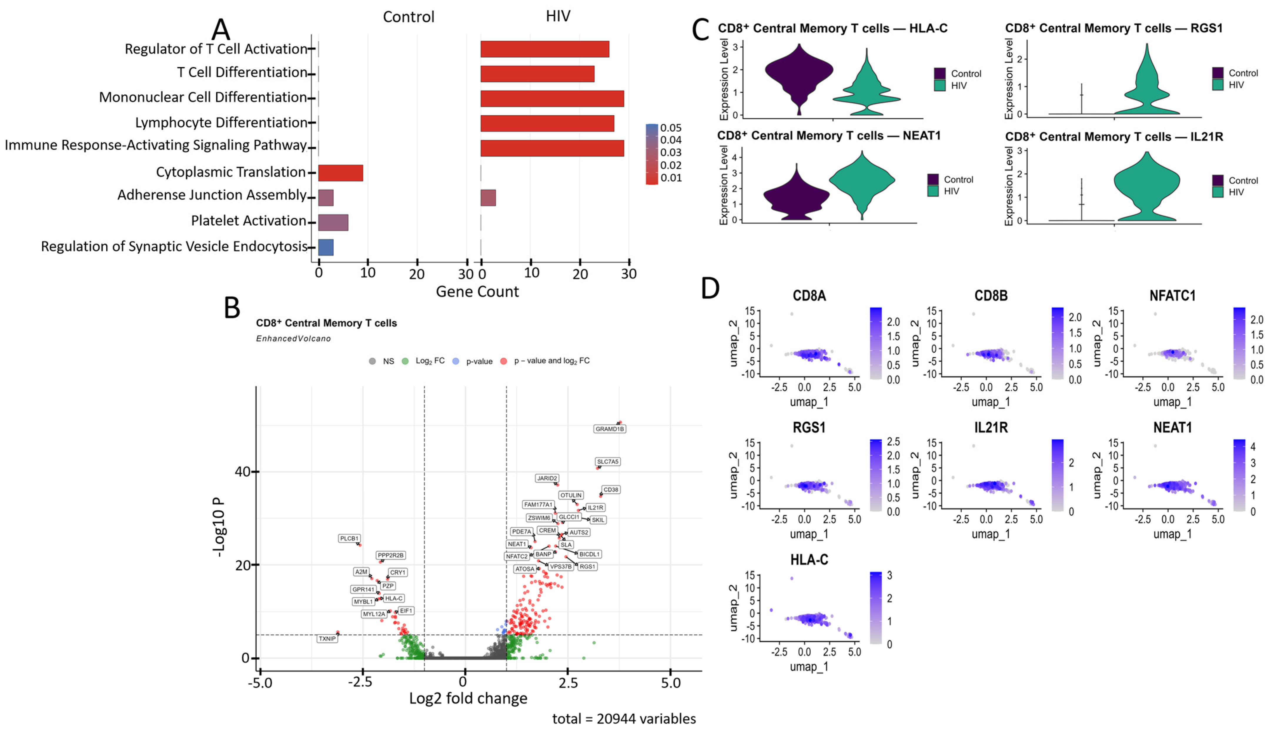 Viruses 18 00204 g005