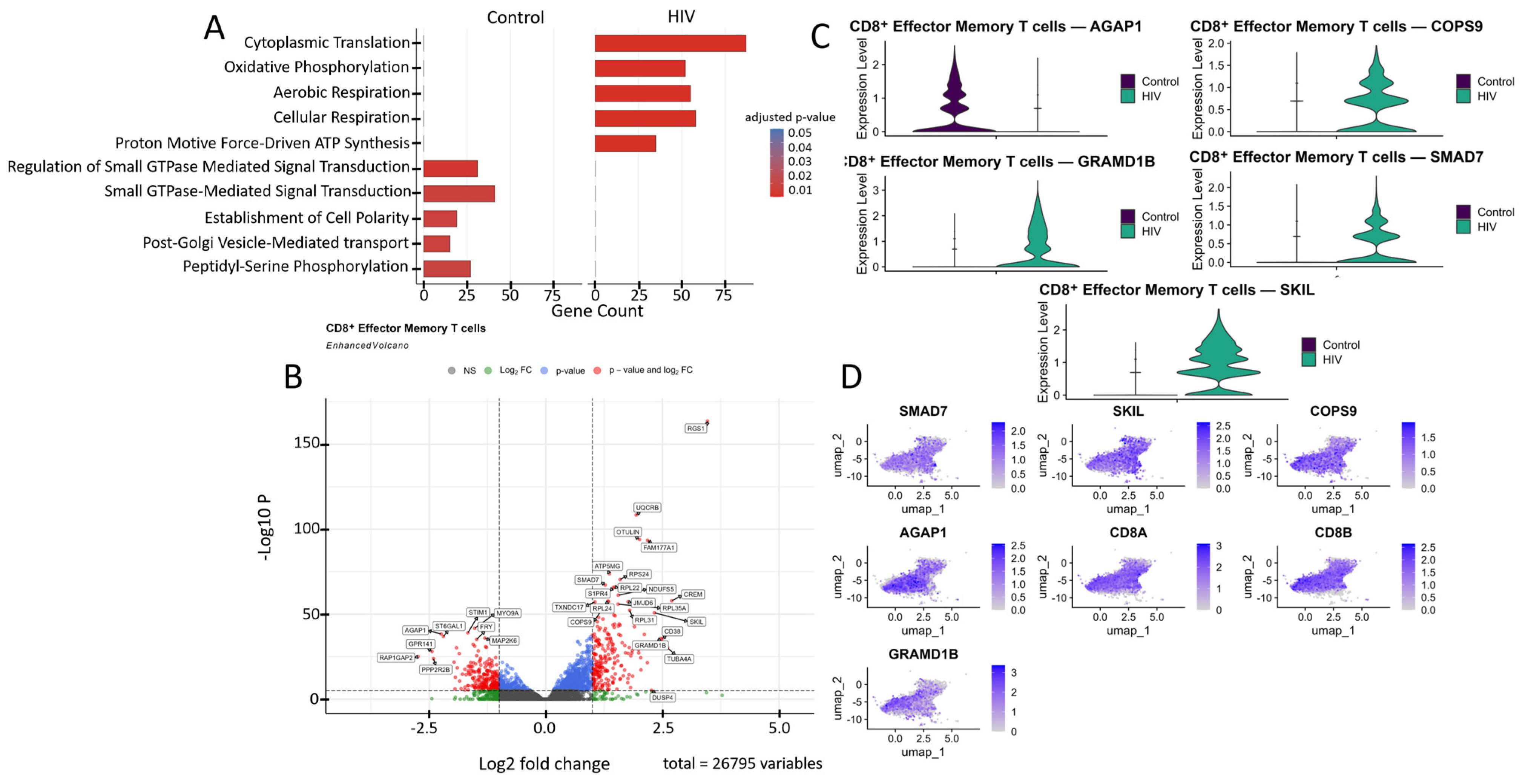 Viruses 18 00204 g006