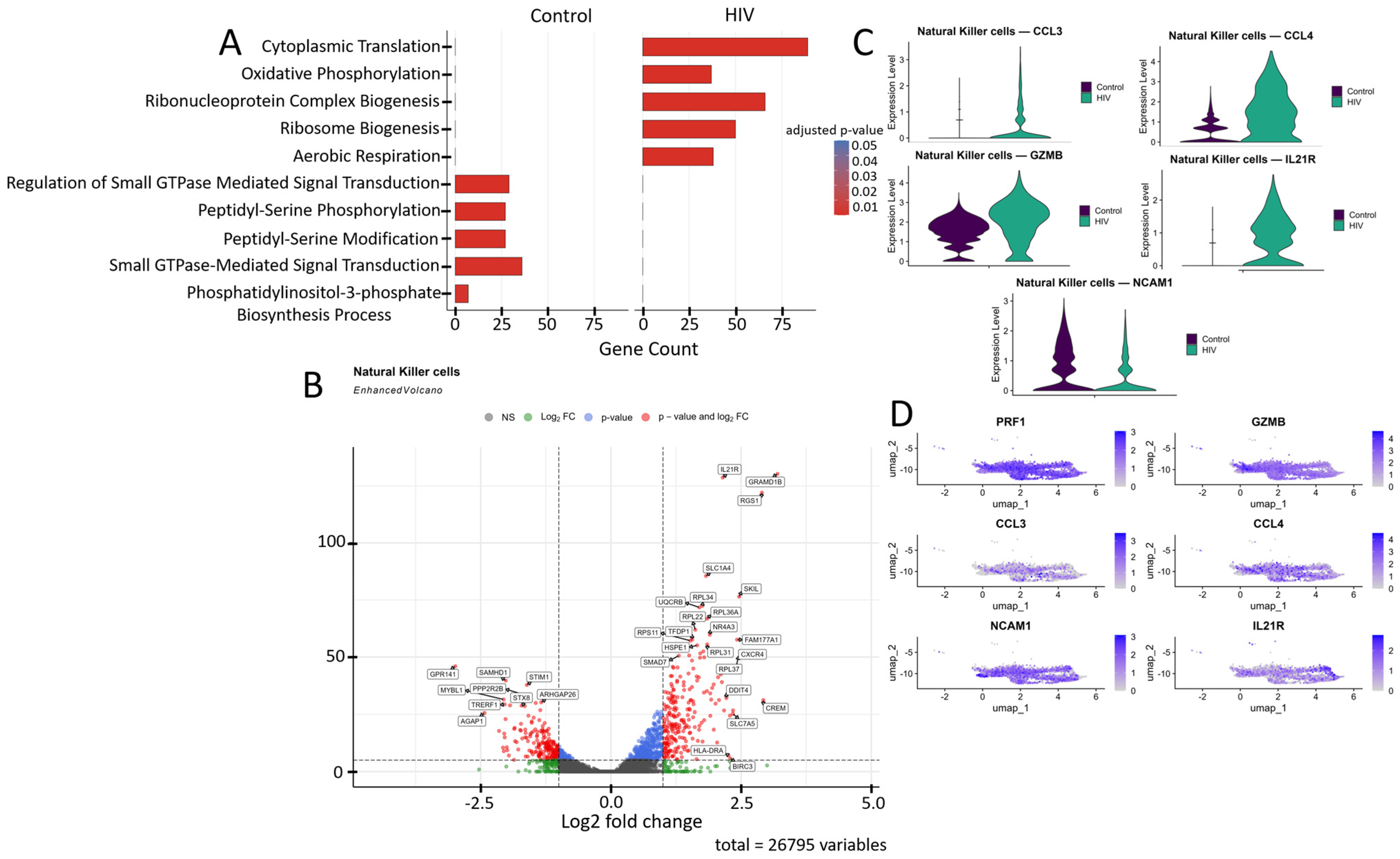 Viruses 18 00204 g008