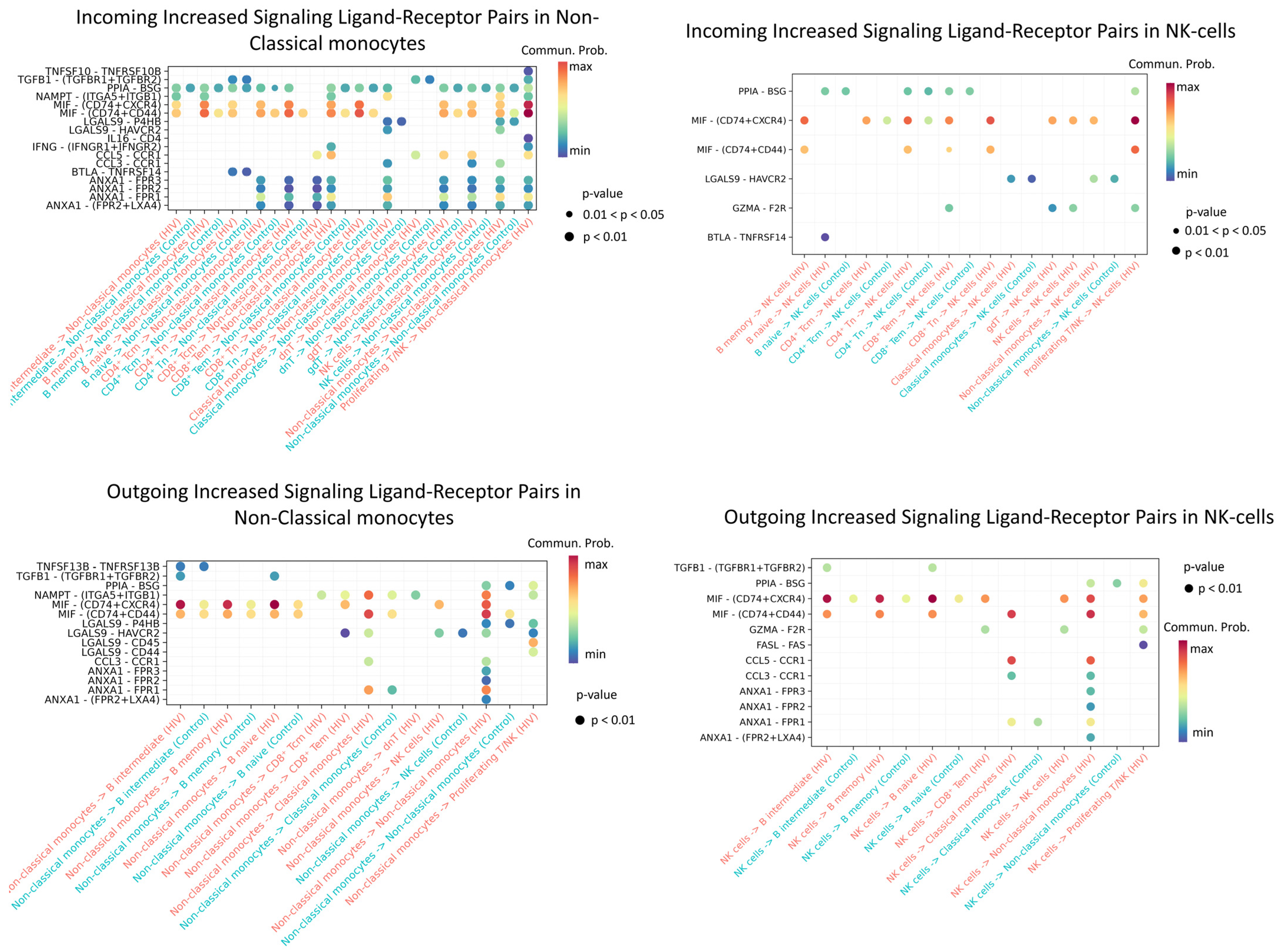 Viruses 18 00204 g011