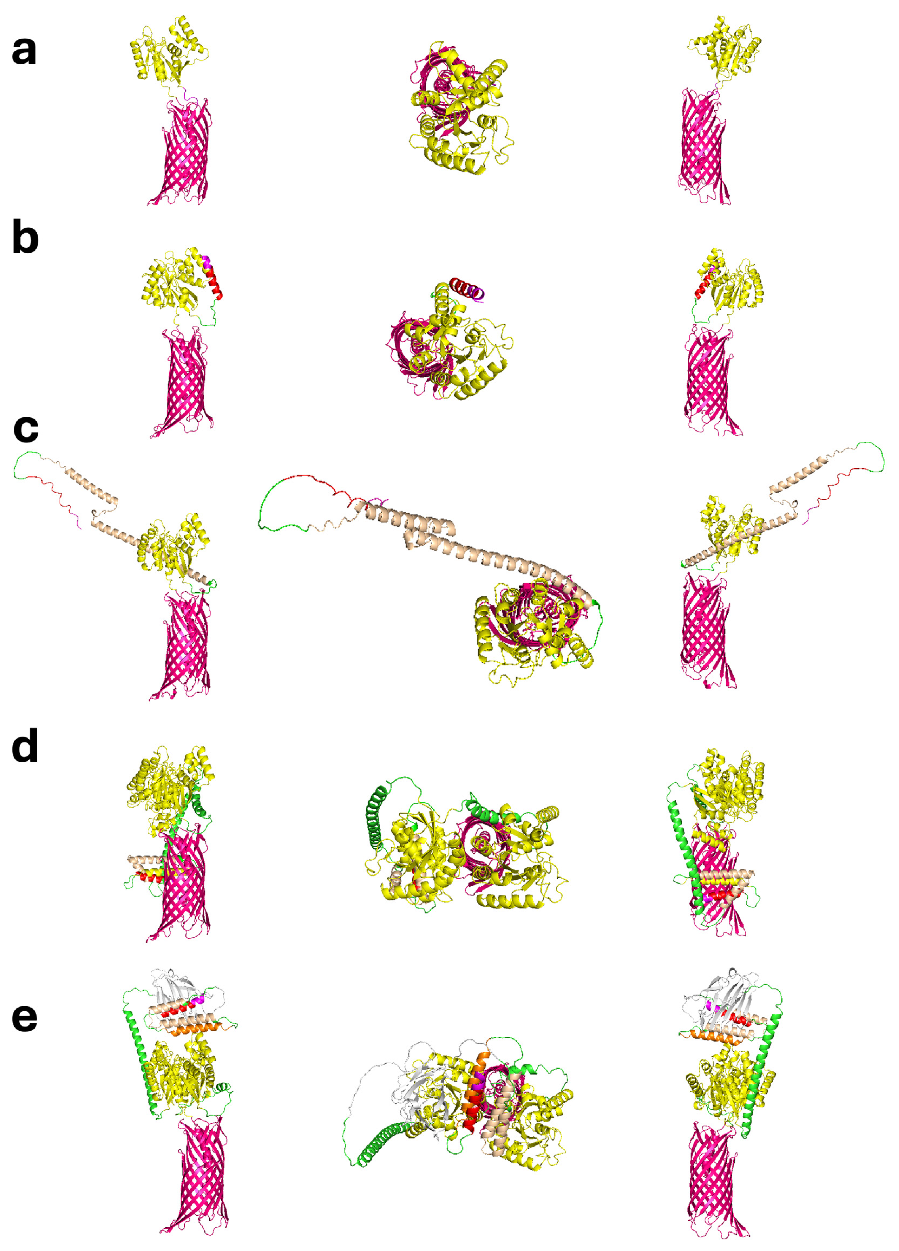 Viruses 18 00209 g001