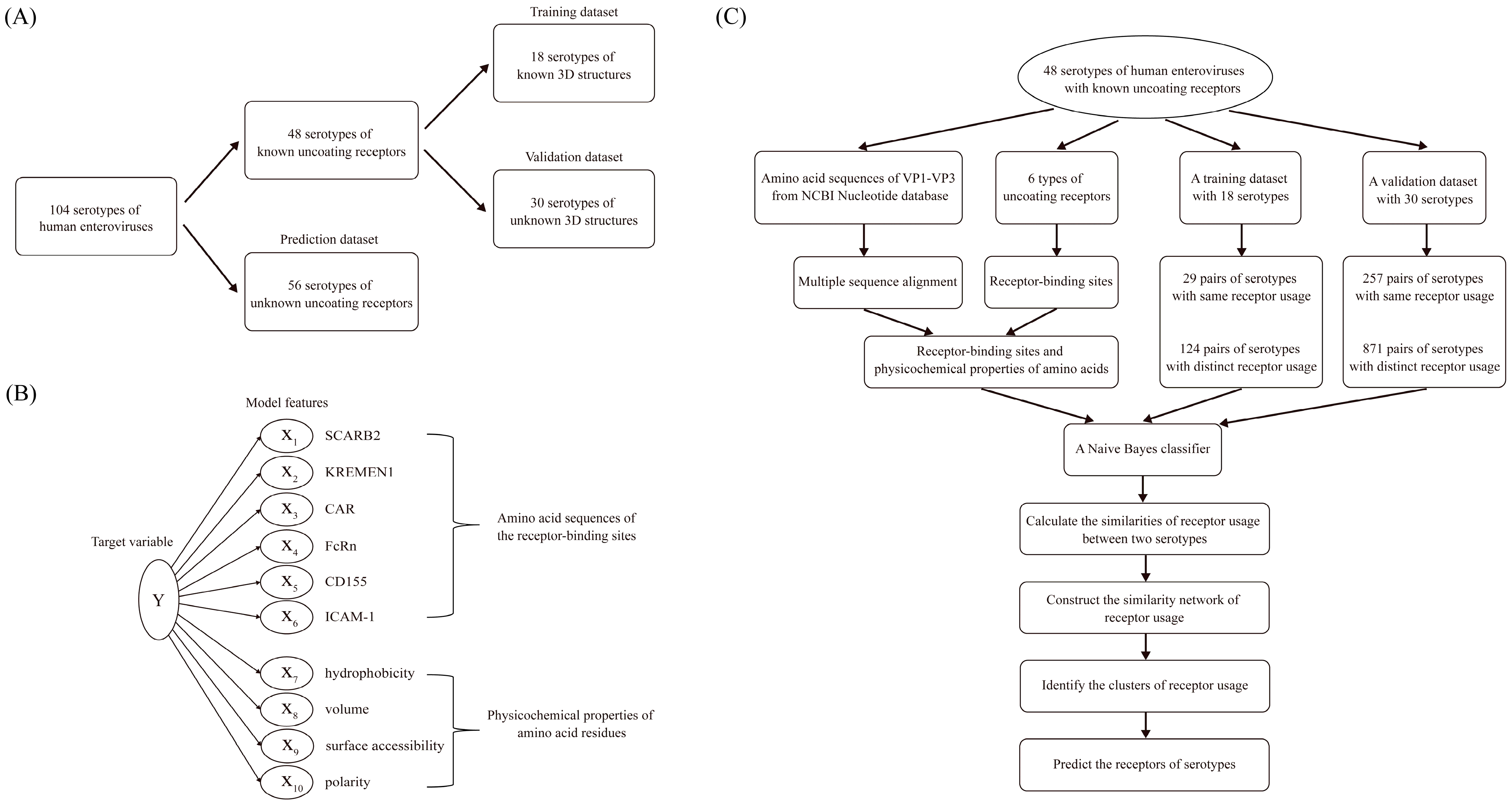 Viruses 18 00236 g002