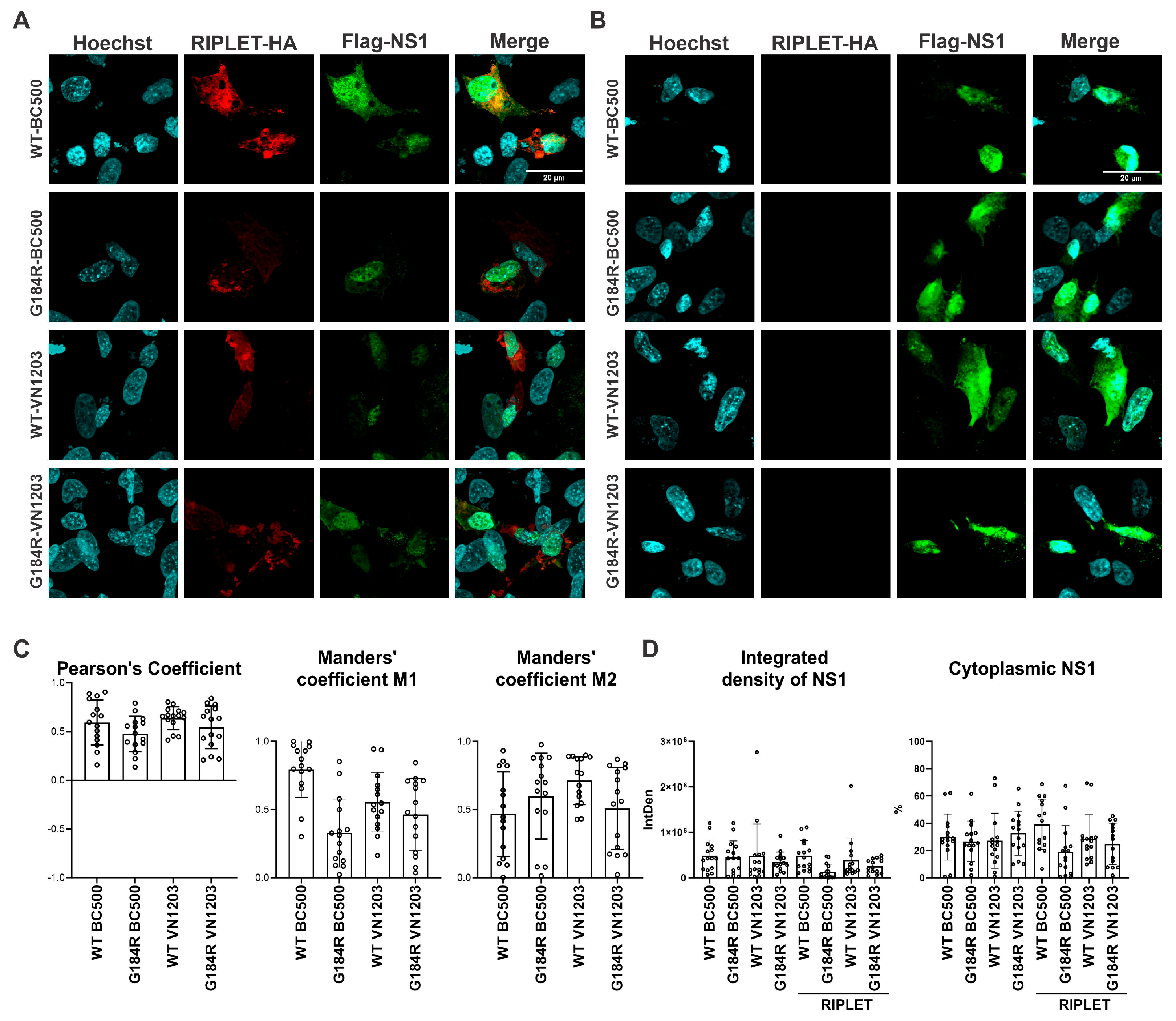 Viruses 18 00264 g006