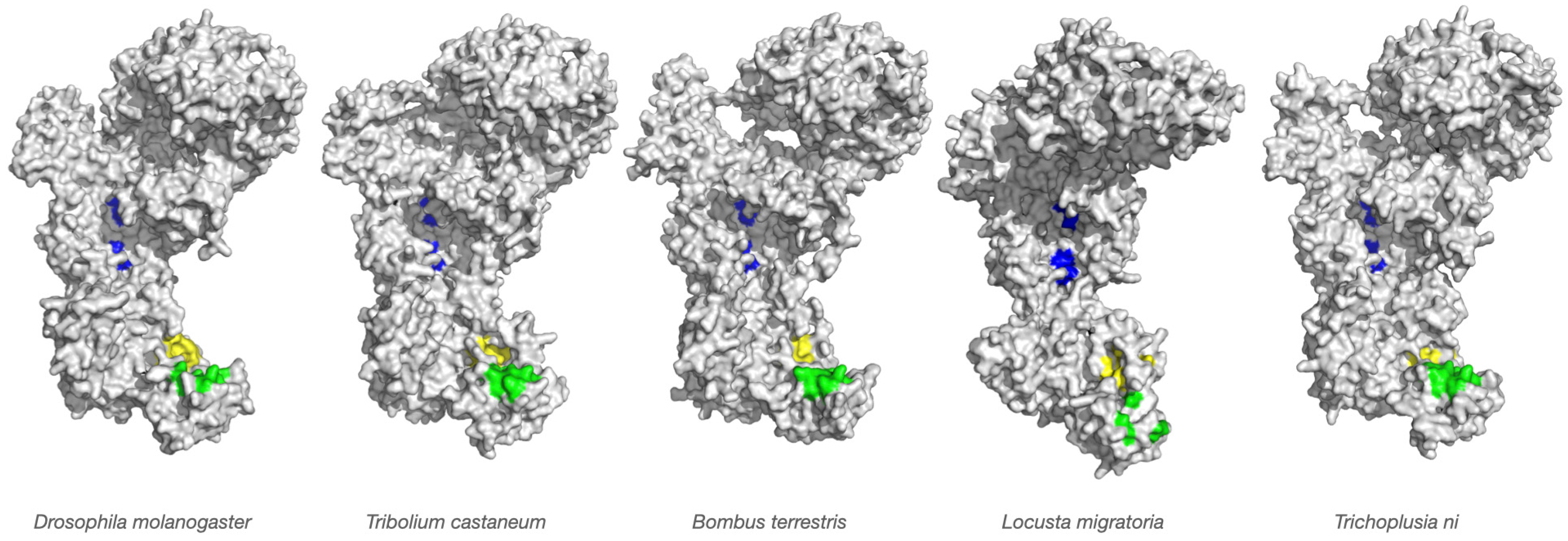 Viruses 18 00285 g001 Viruses 18 00285 g001