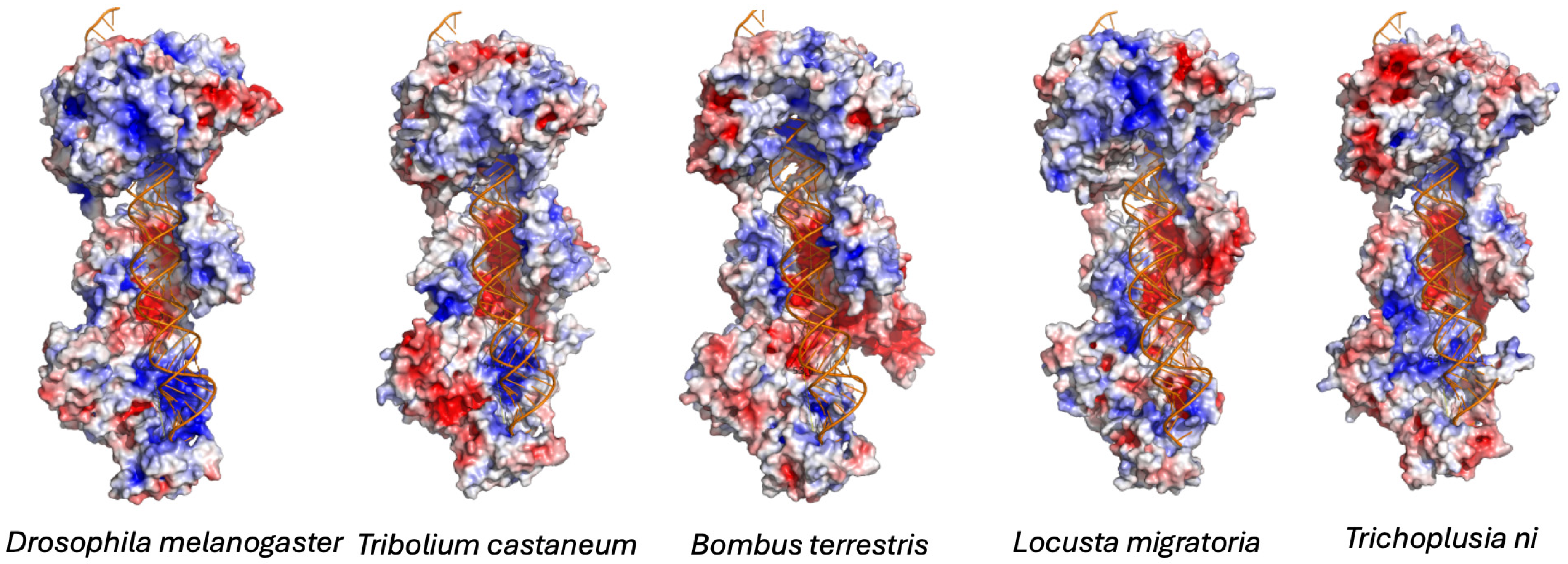 Viruses 18 00285 g003 Viruses 18 00285 g003