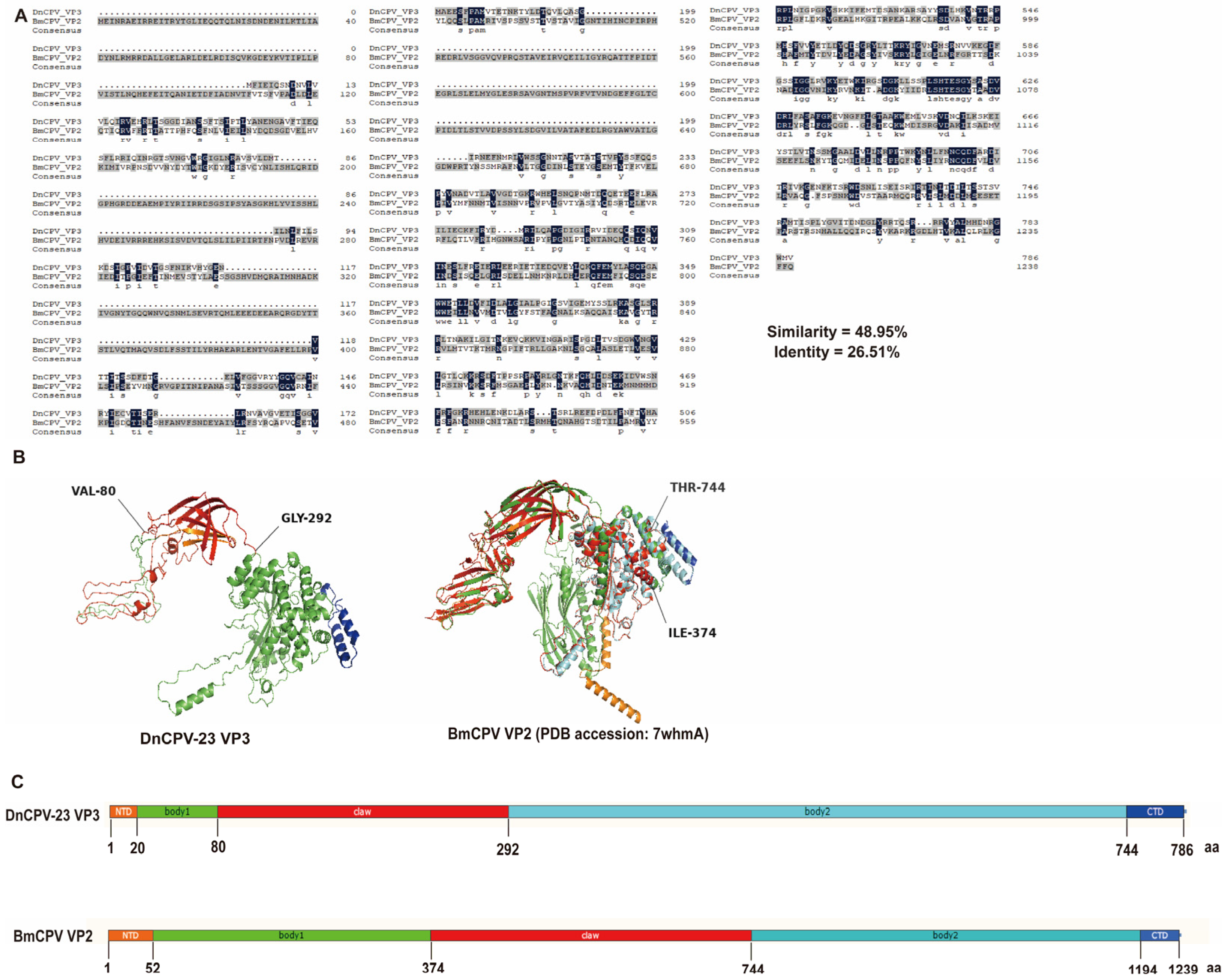 Viruses 18 00293 g002