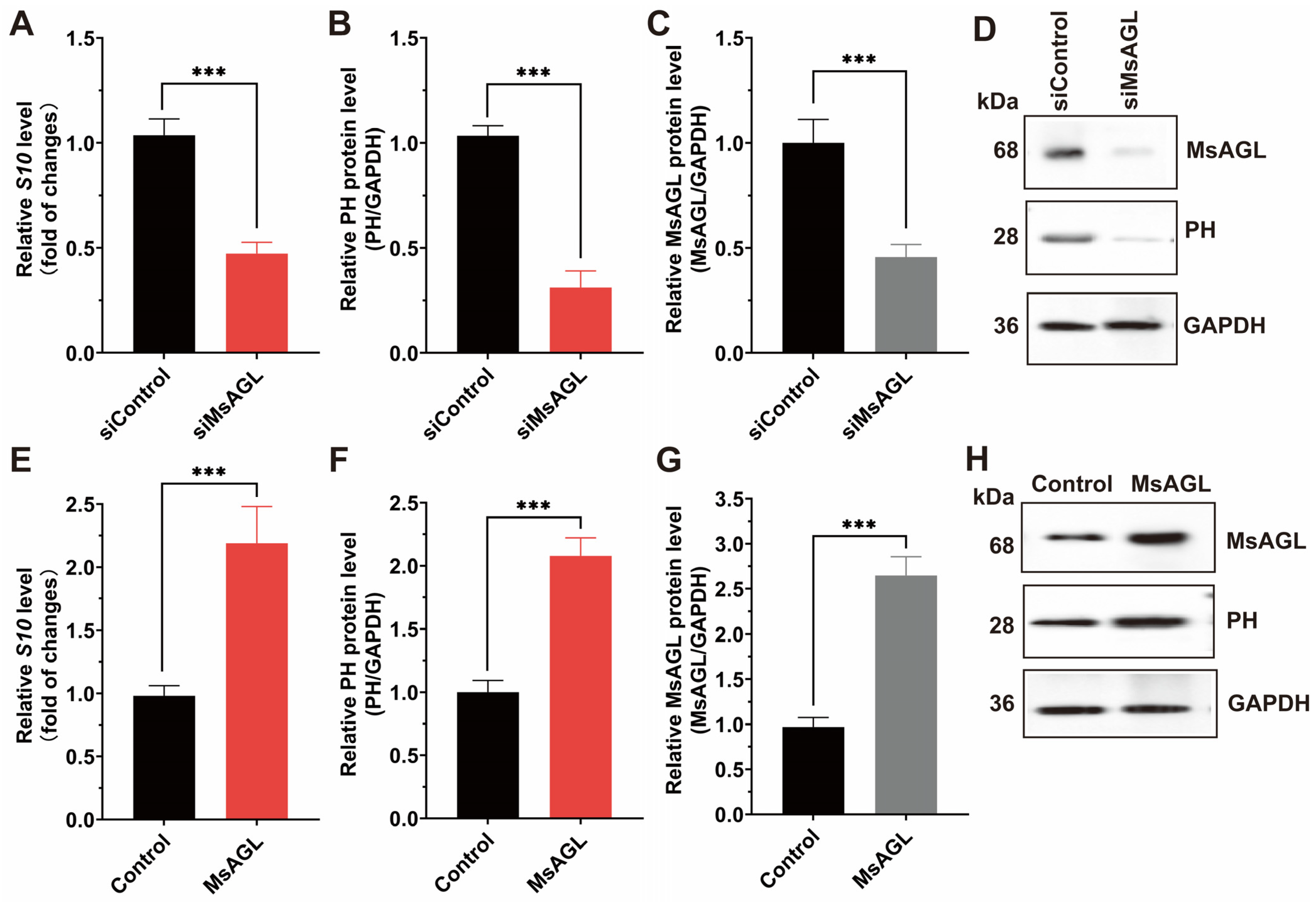 Viruses 18 00293 g005