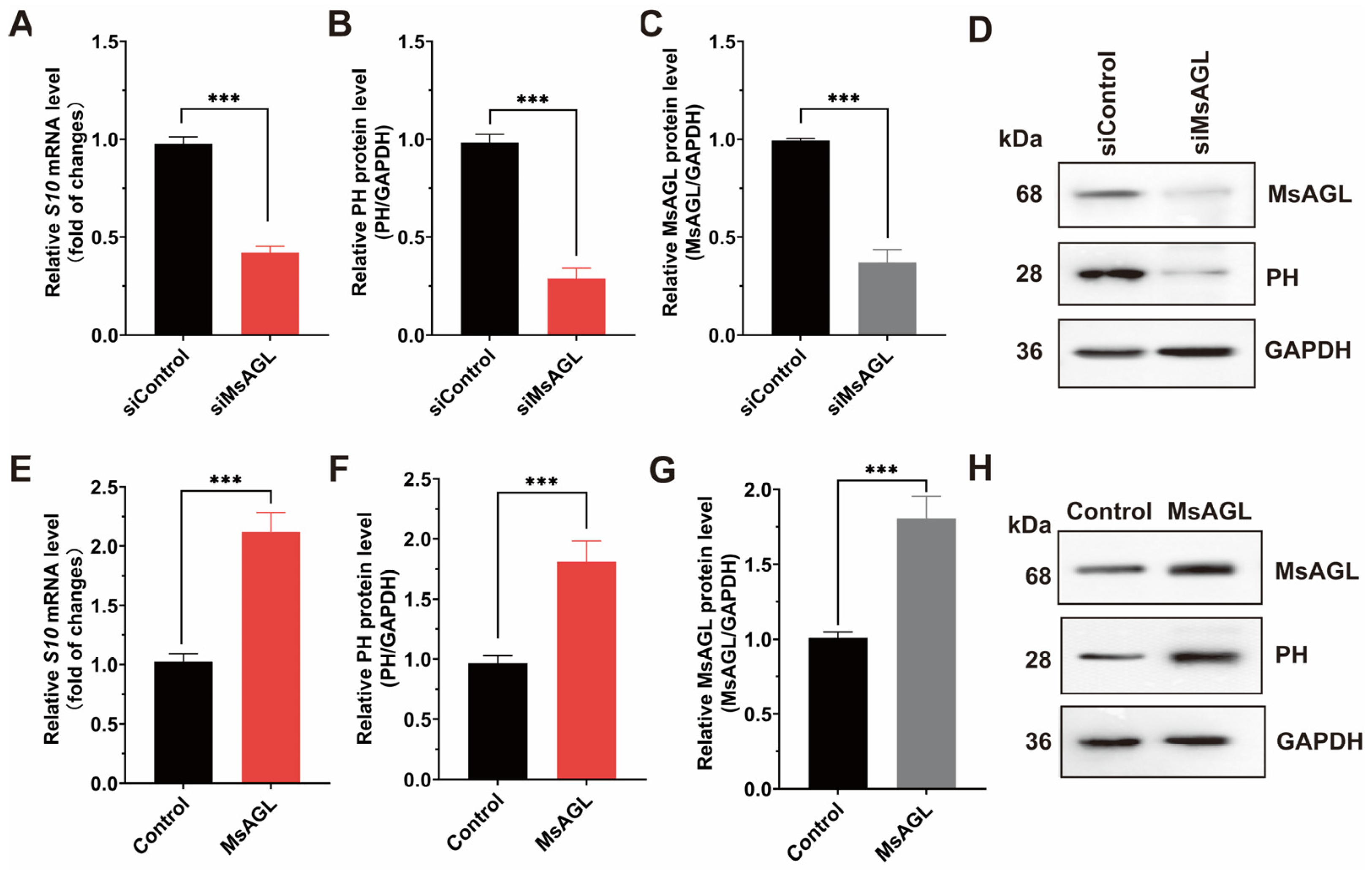 Viruses 18 00293 g006