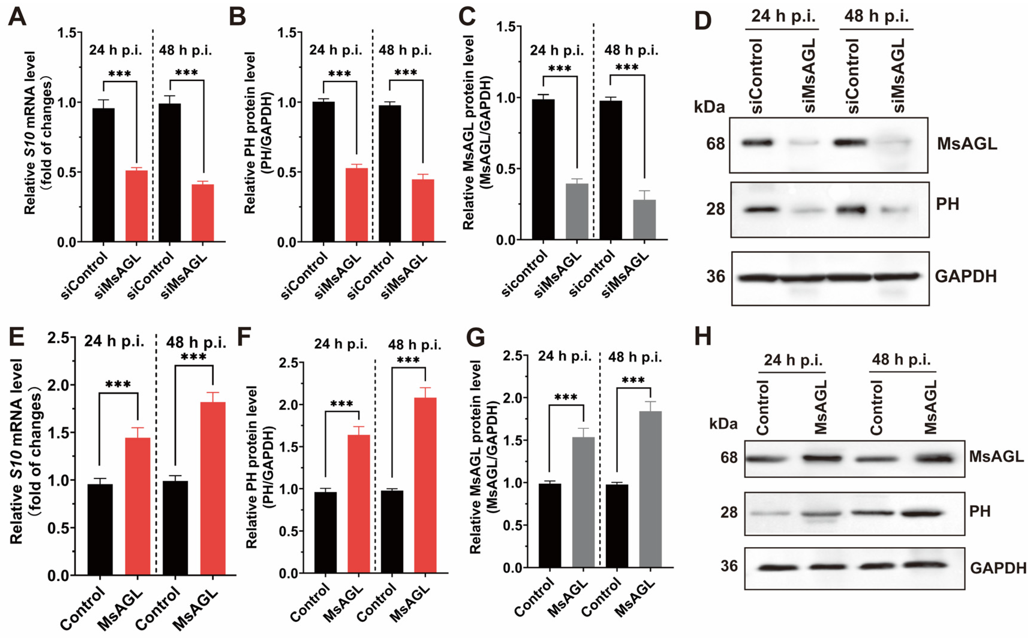 Viruses 18 00293 g007