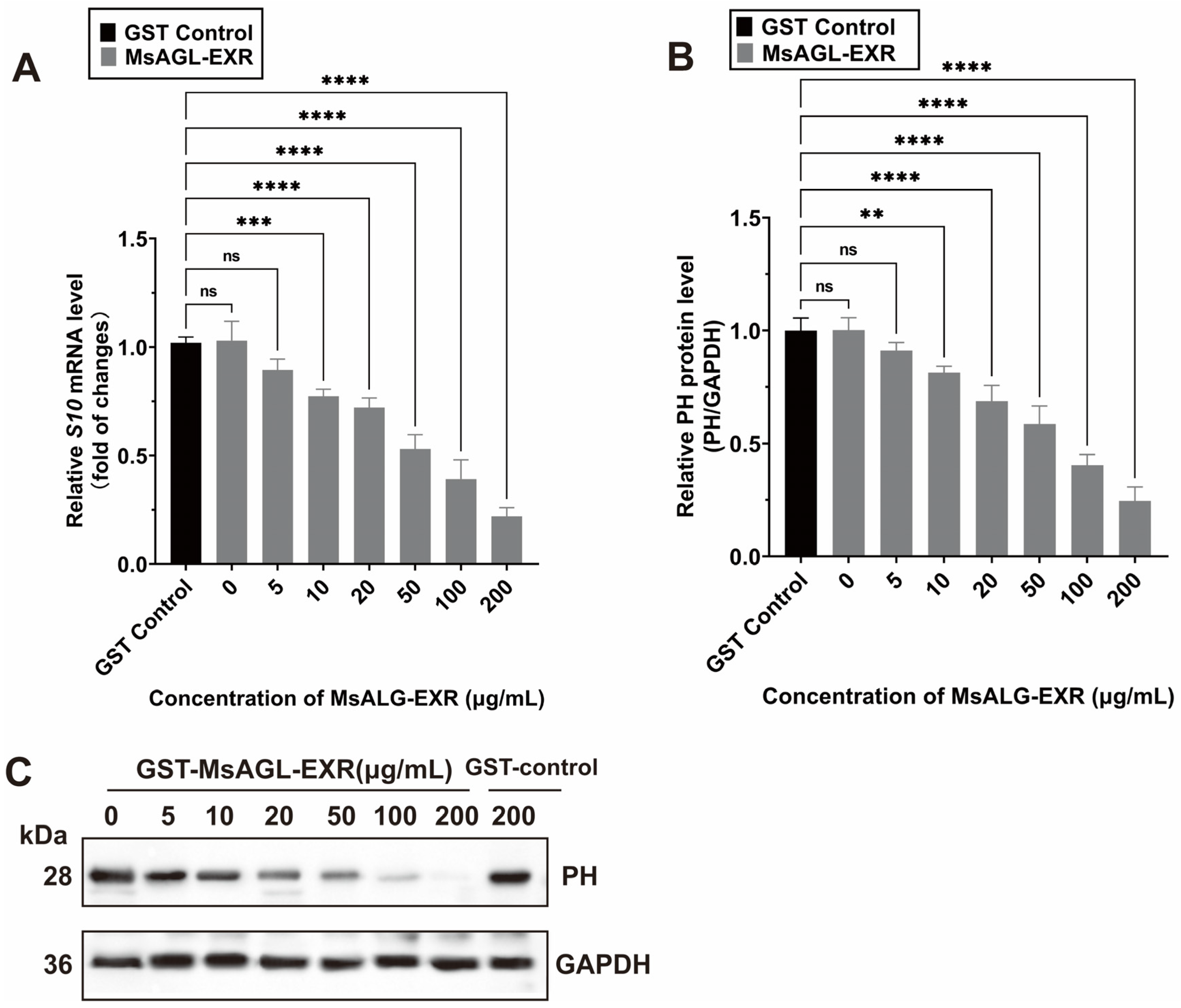 Viruses 18 00293 g008