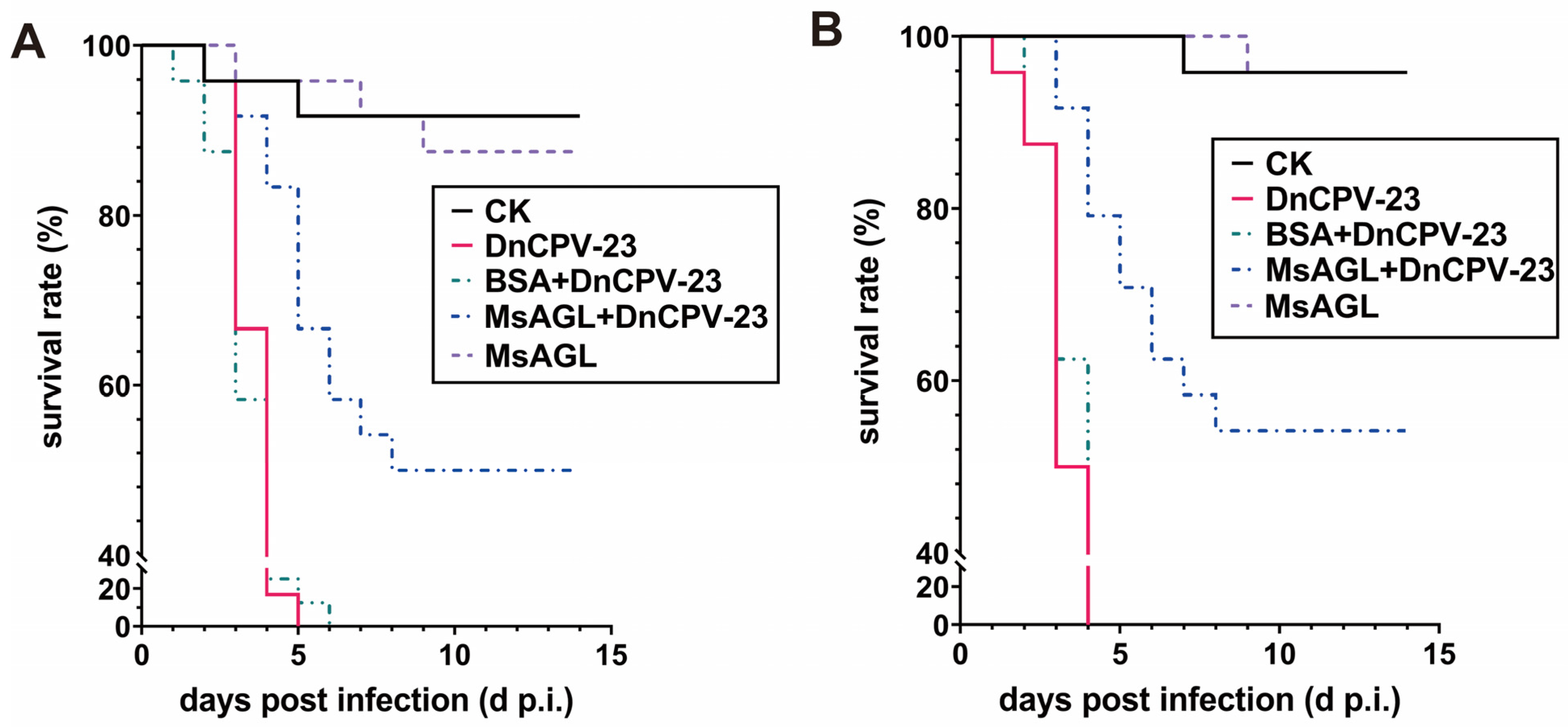 Viruses 18 00293 g009
