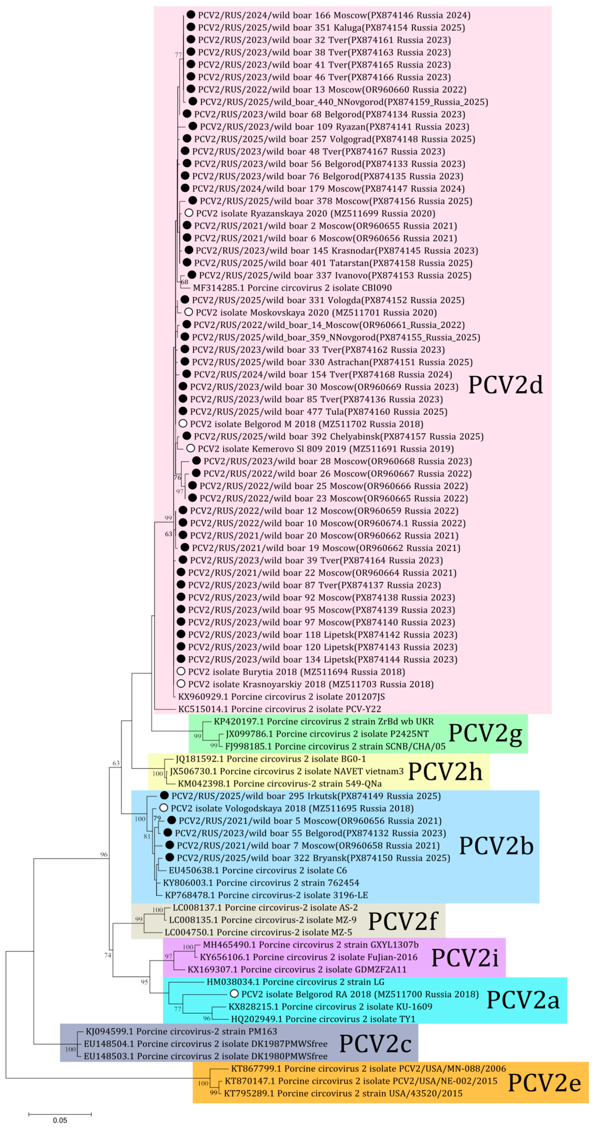 Viruses 18 00307 g003