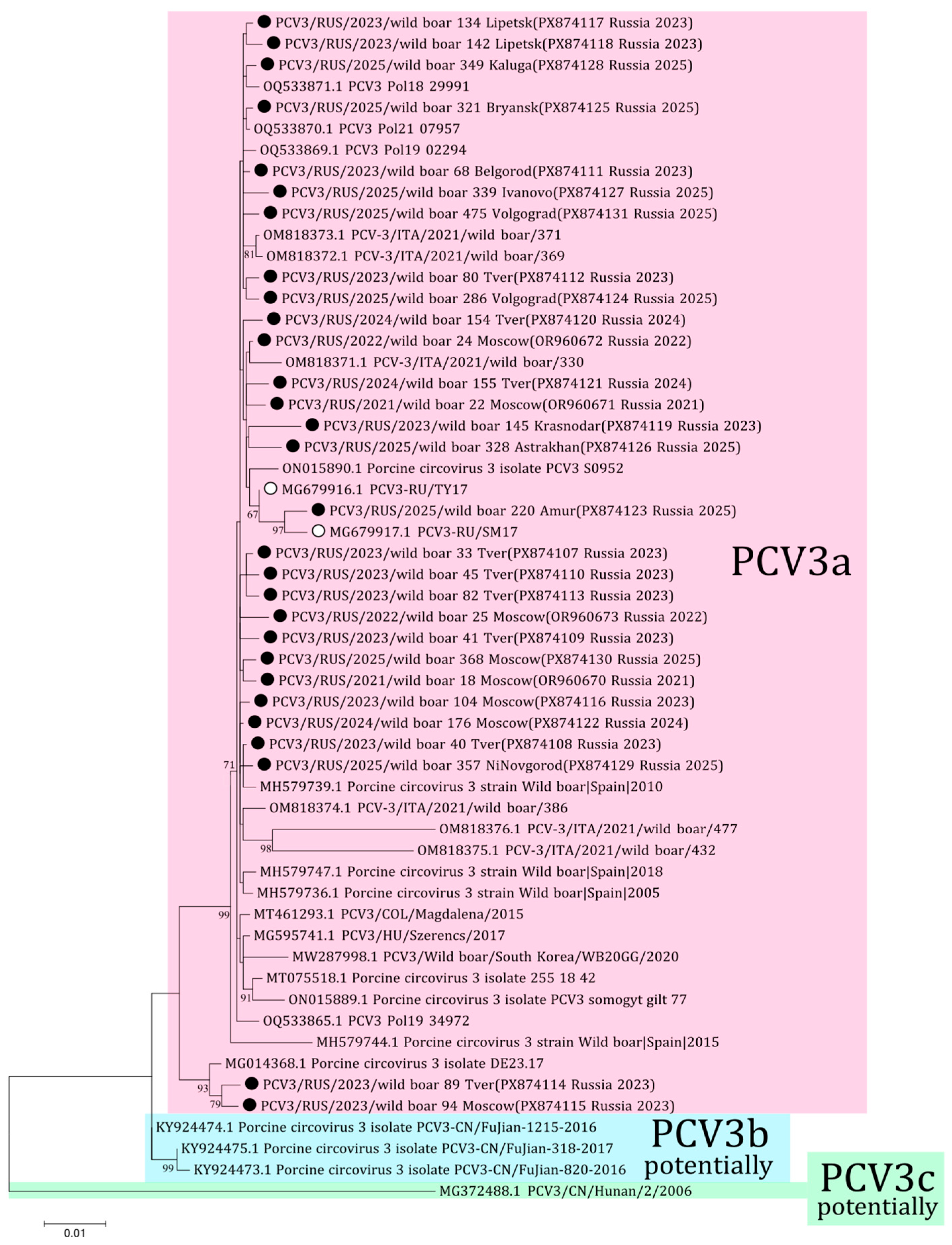 Viruses 18 00307 g004