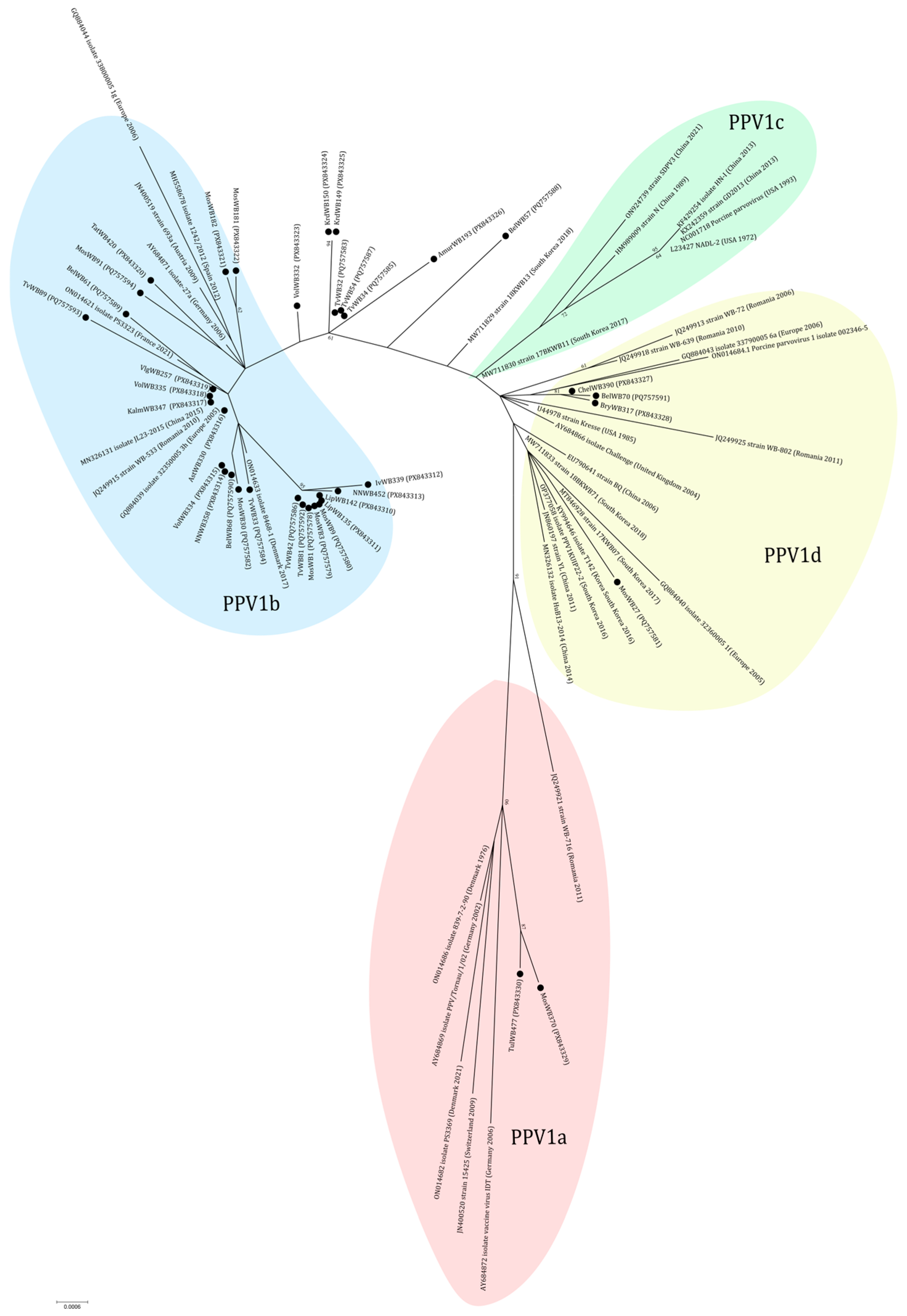 Viruses 18 00307 g005