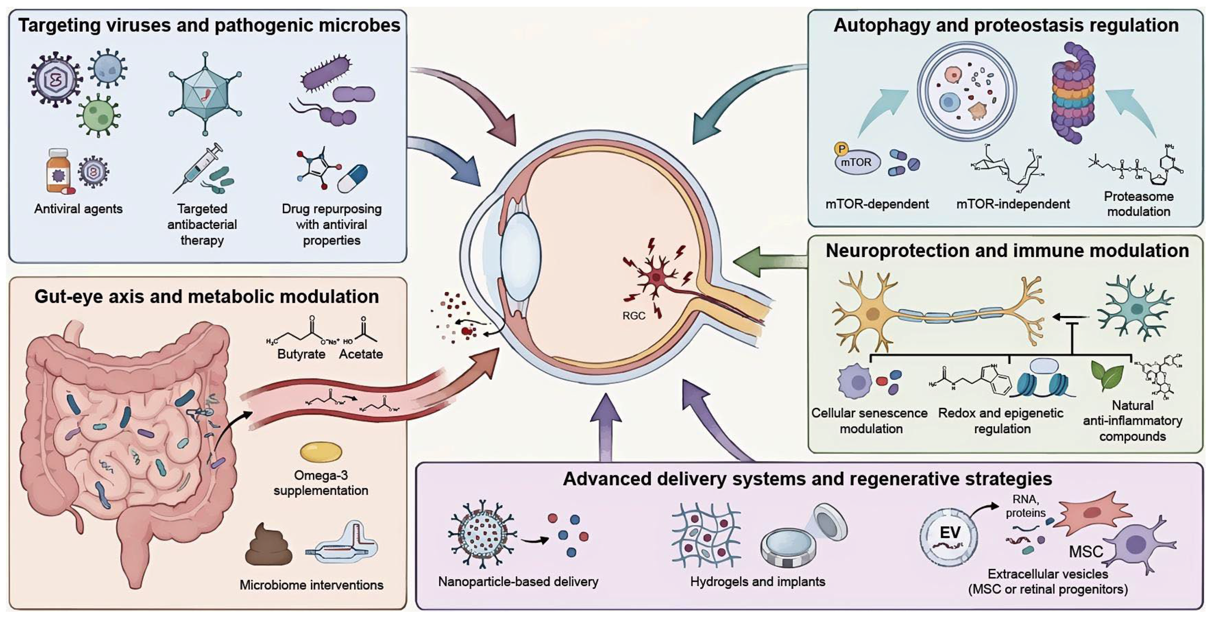Viruses 18 00310 g003