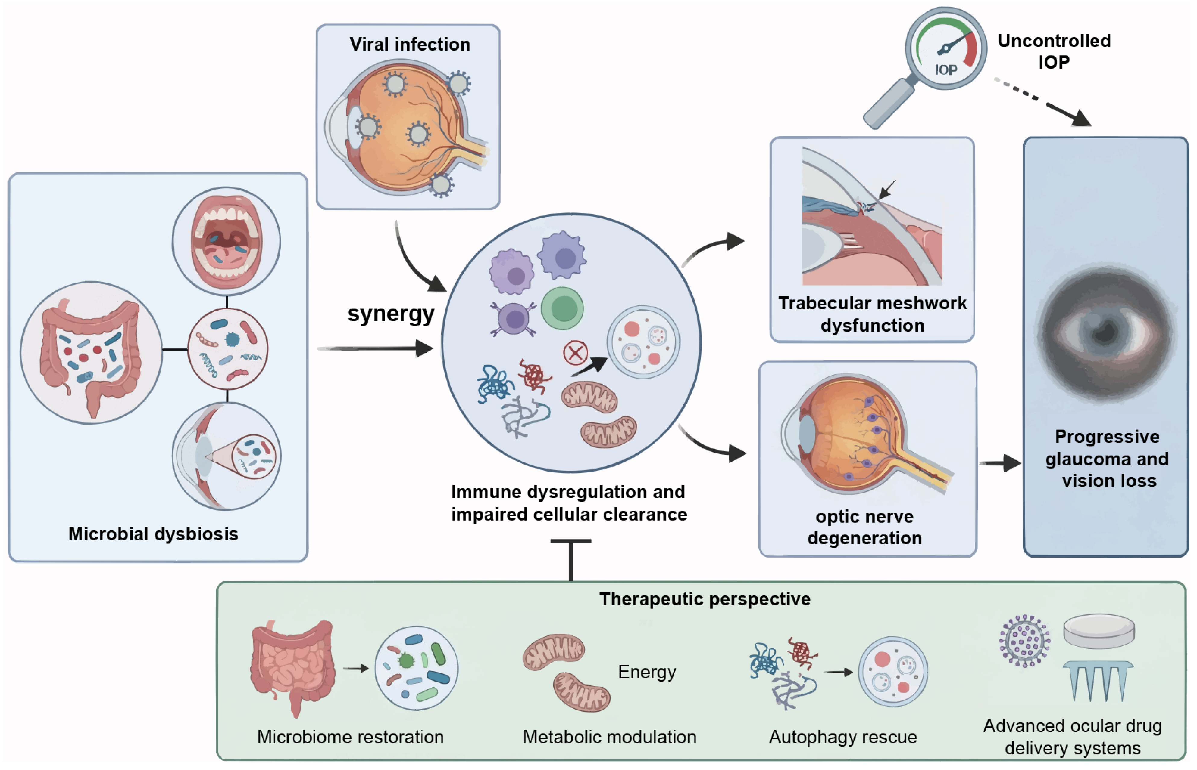 Viruses 18 00310 g004
