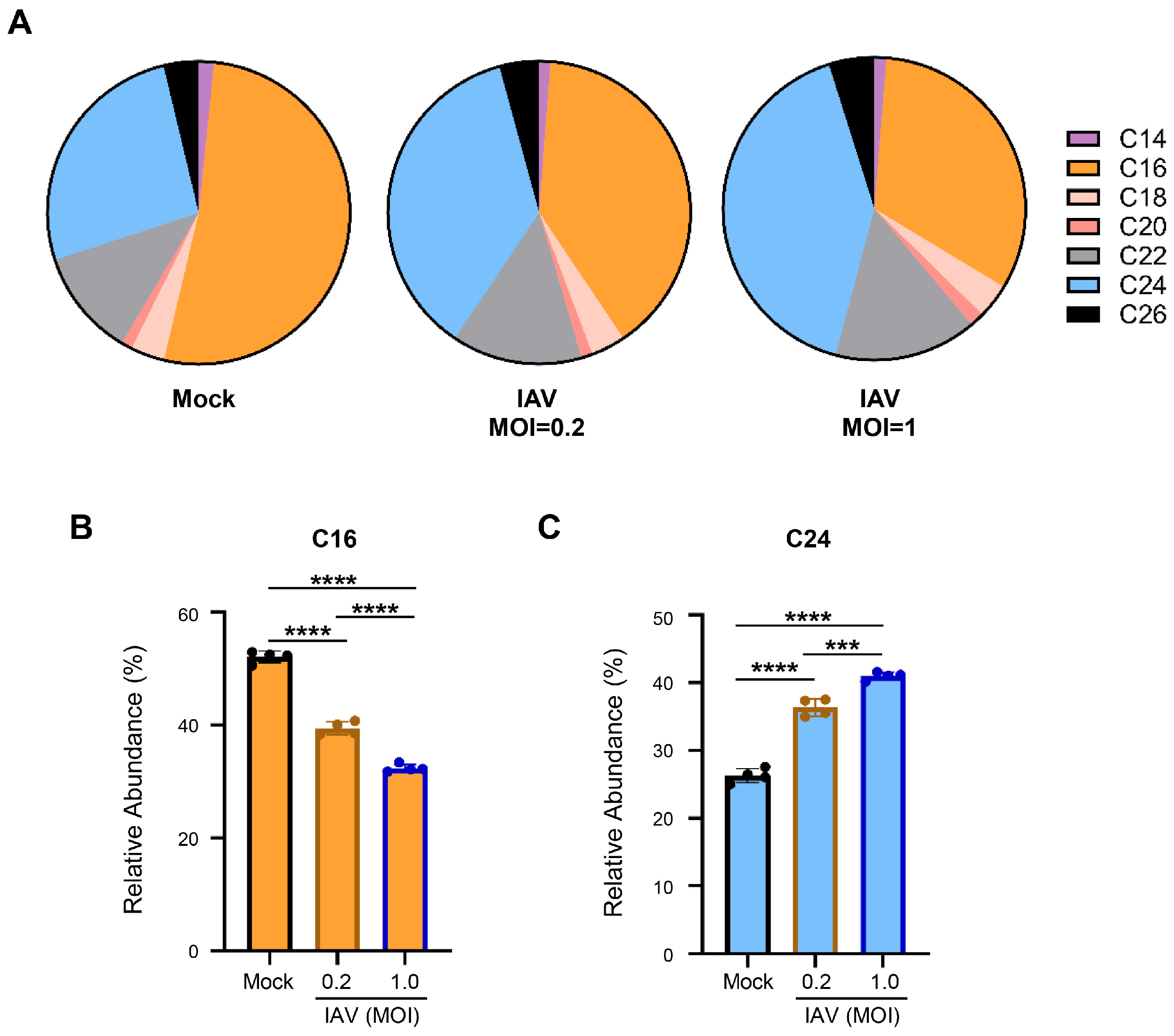 Viruses 18 00339 g002
