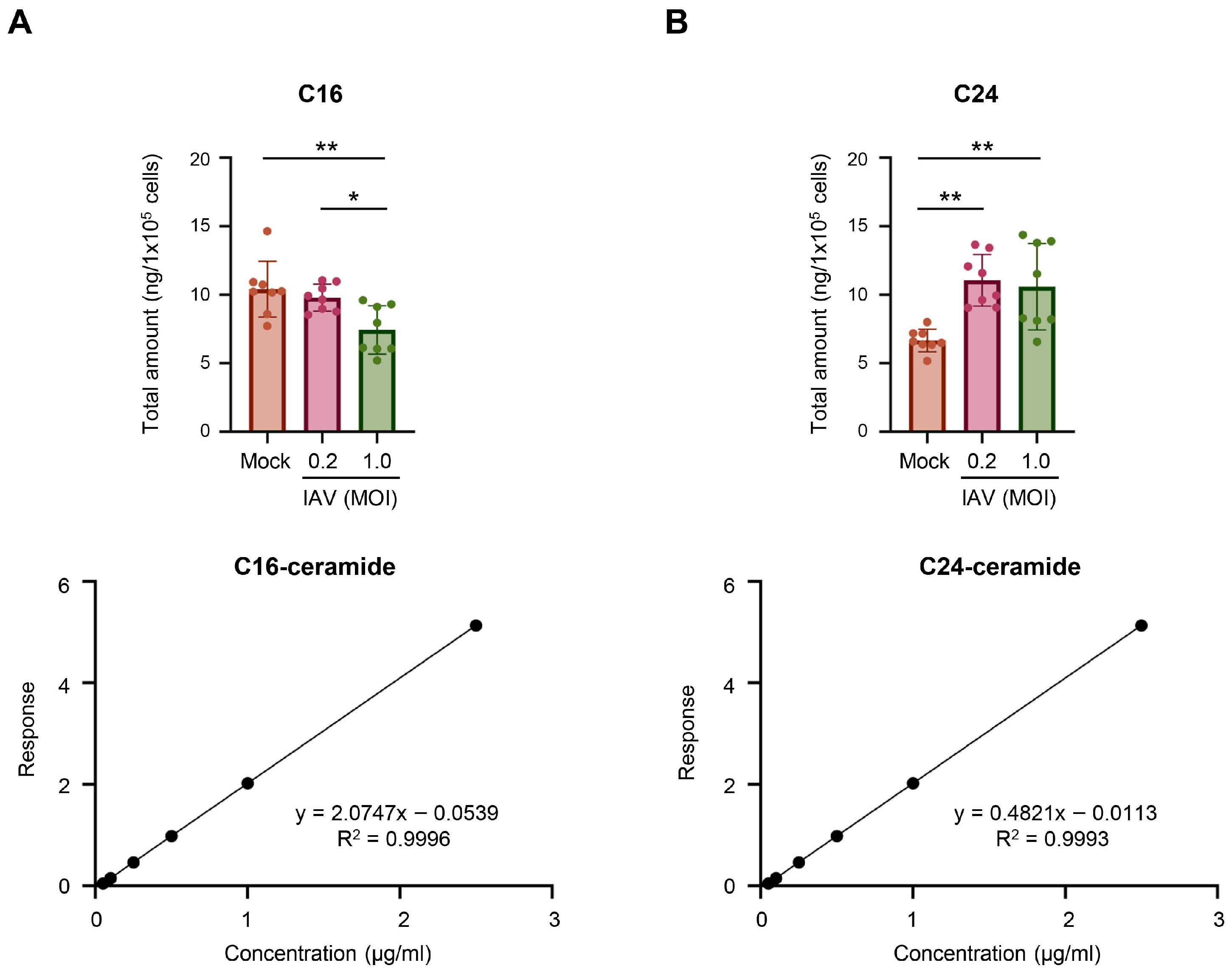 Viruses 18 00339 g006