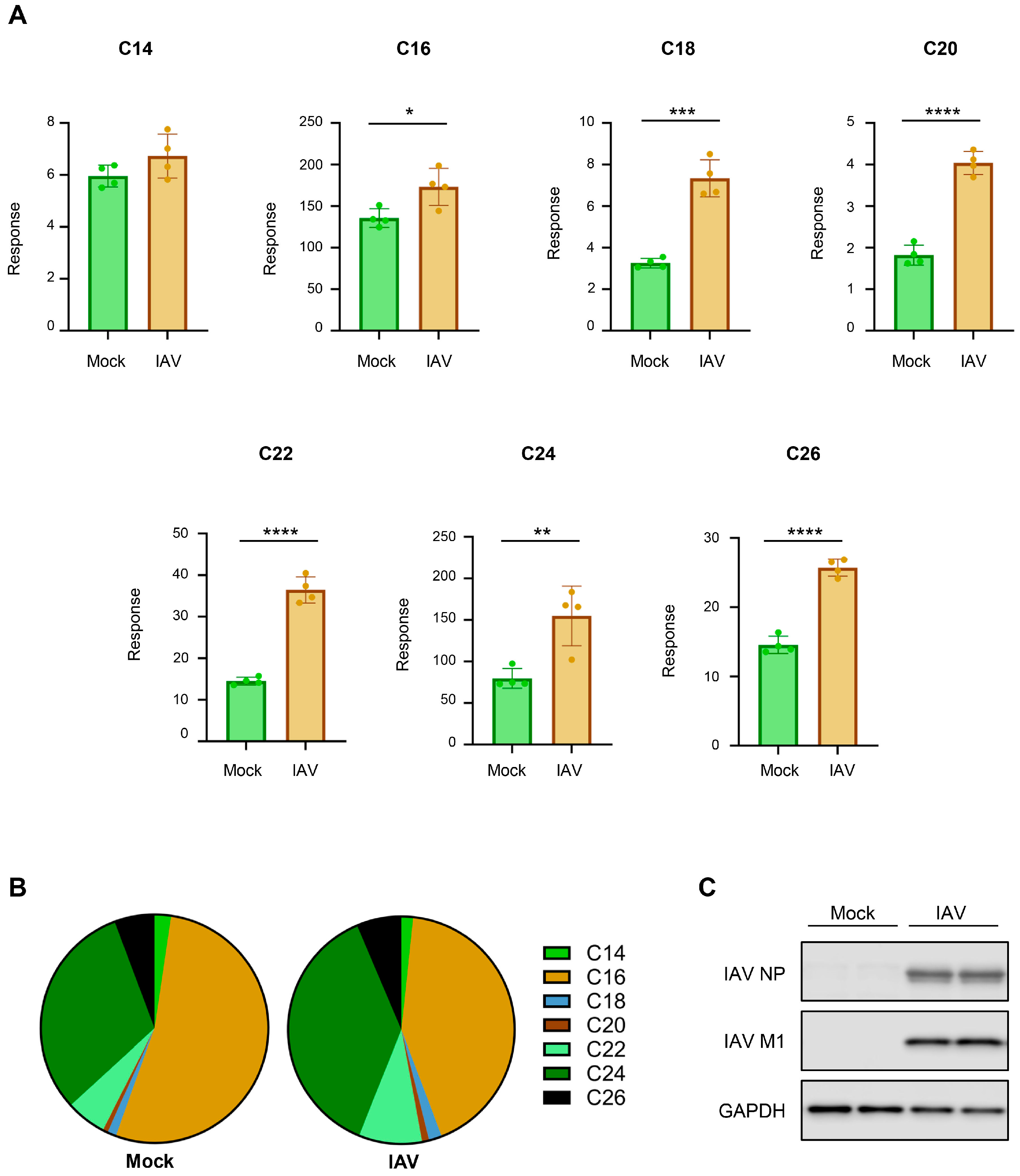 Viruses 18 00339 g007