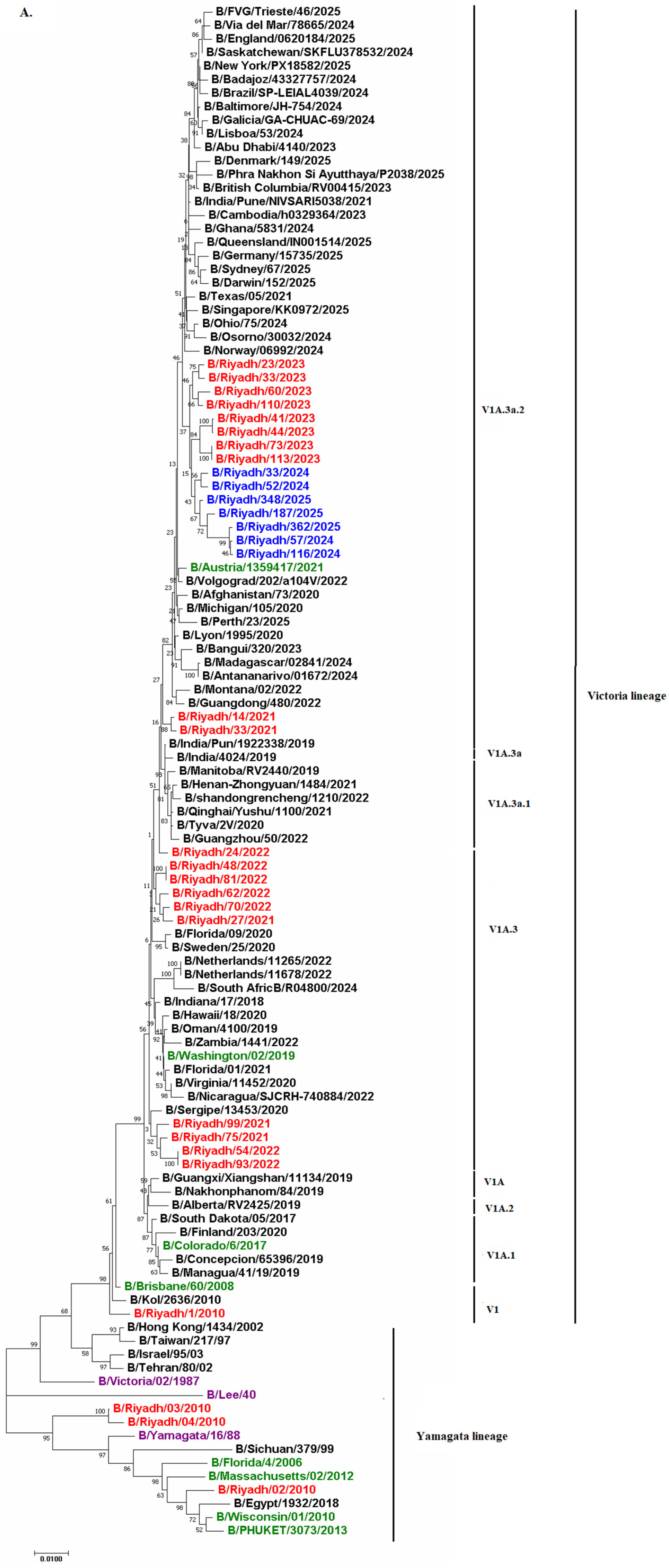 Viruses 18 00358 g003a Viruses 18 00358 g003a