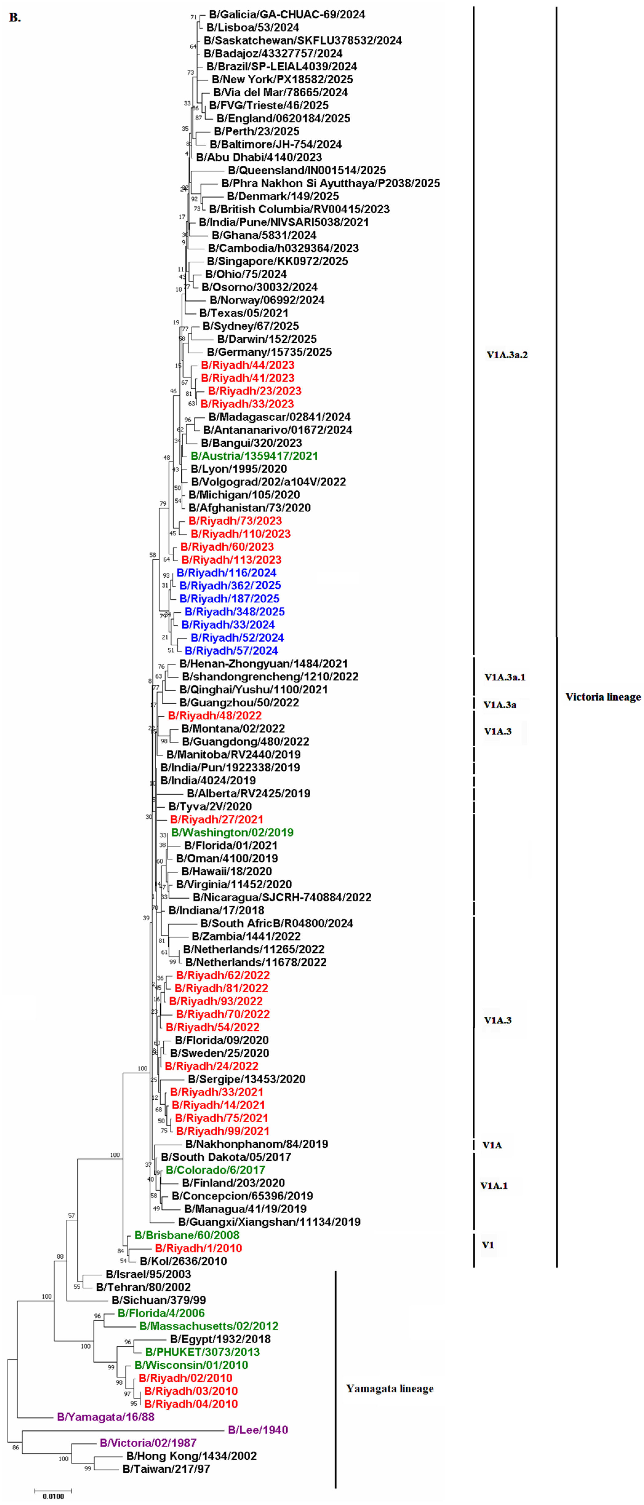 Viruses 18 00358 g003b Viruses 18 00358 g003b