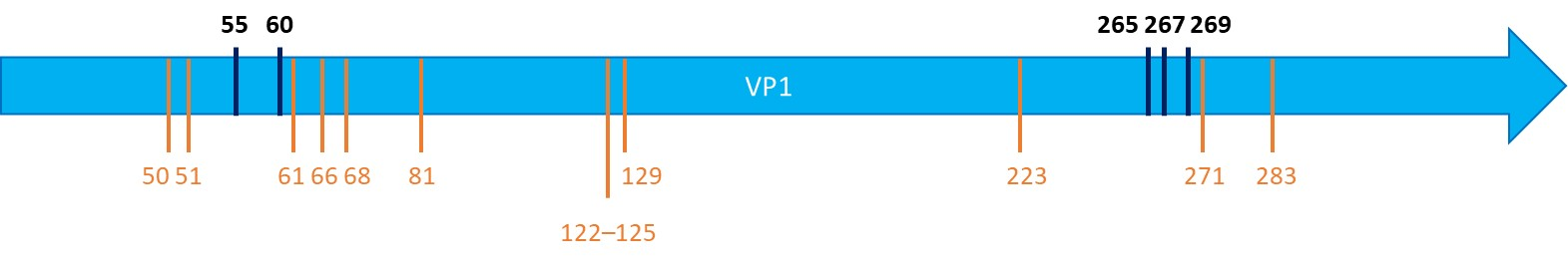 Viruses 18 00378 g002