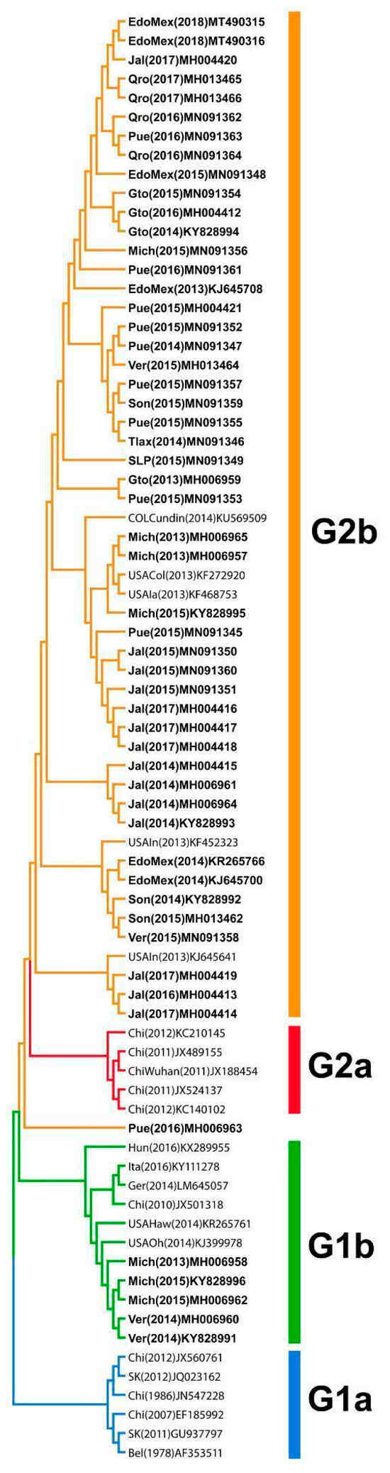 Viruses 18 00407 g001