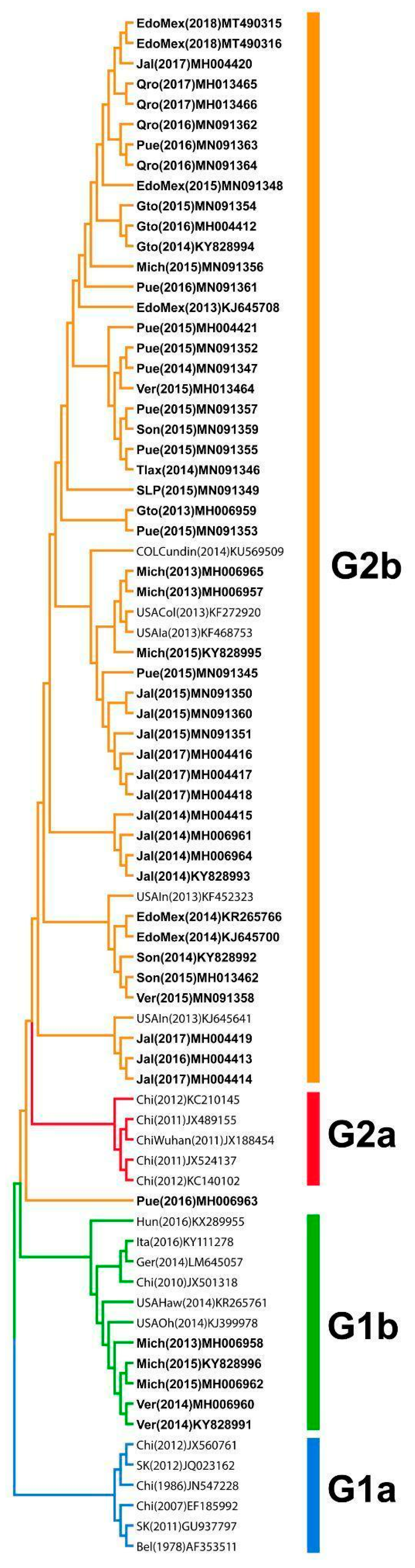 Viruses 18 00407 g001 Viruses 18 00407 g001