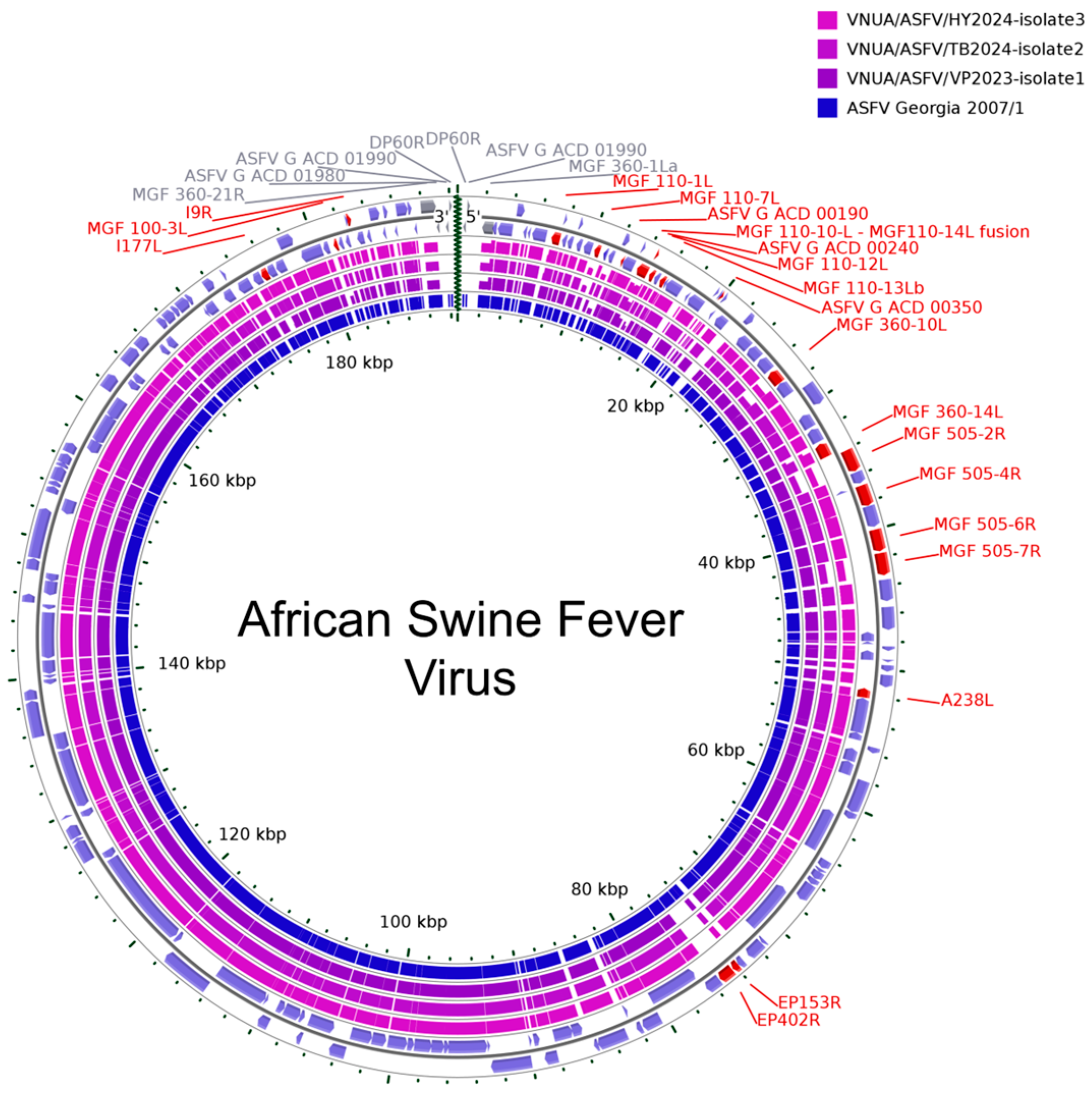 Viruses 18 00606 g005 Viruses 18 00606 g005