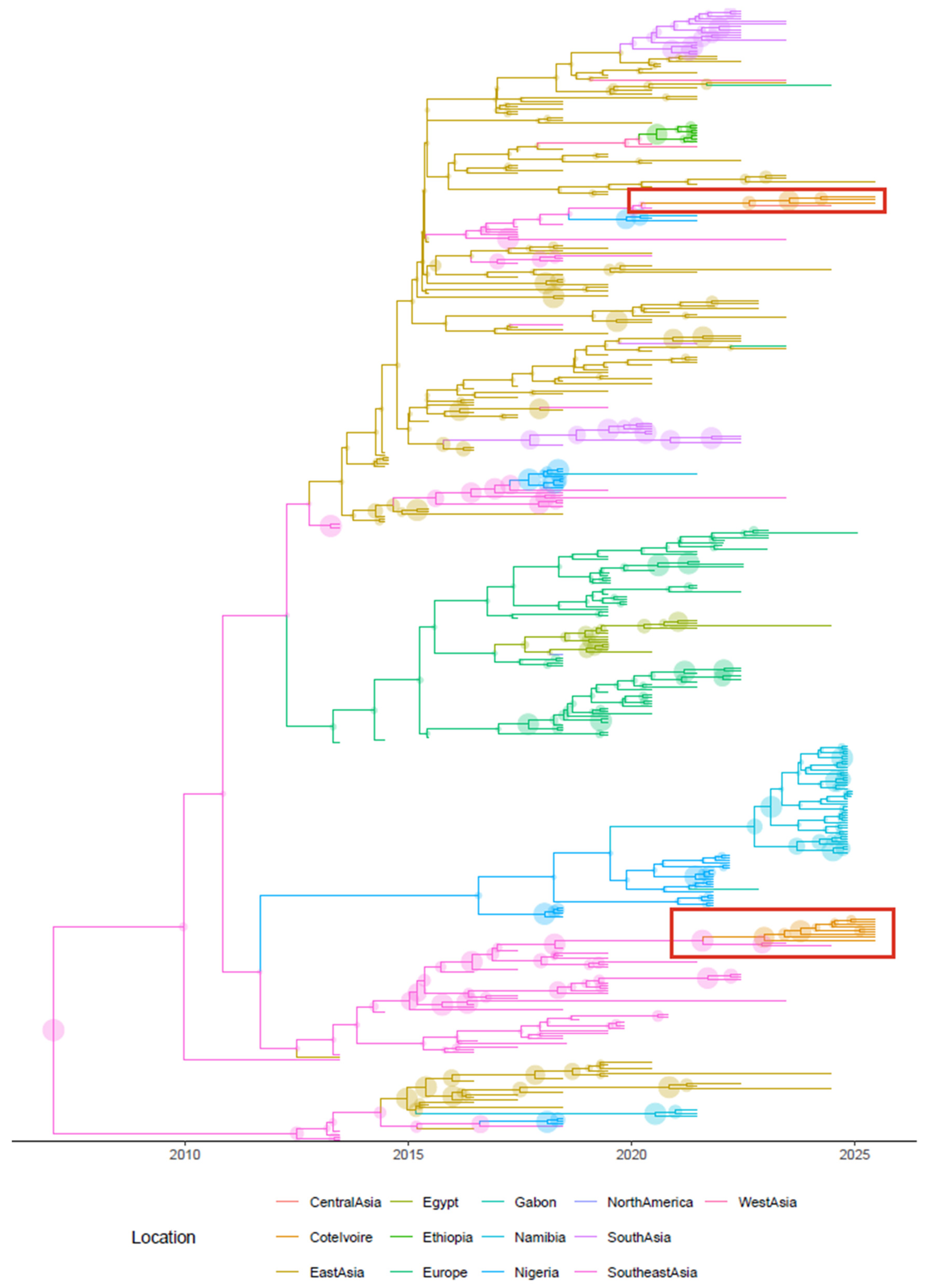 Viruses 18 00661 g001 Viruses 18 00661 g001