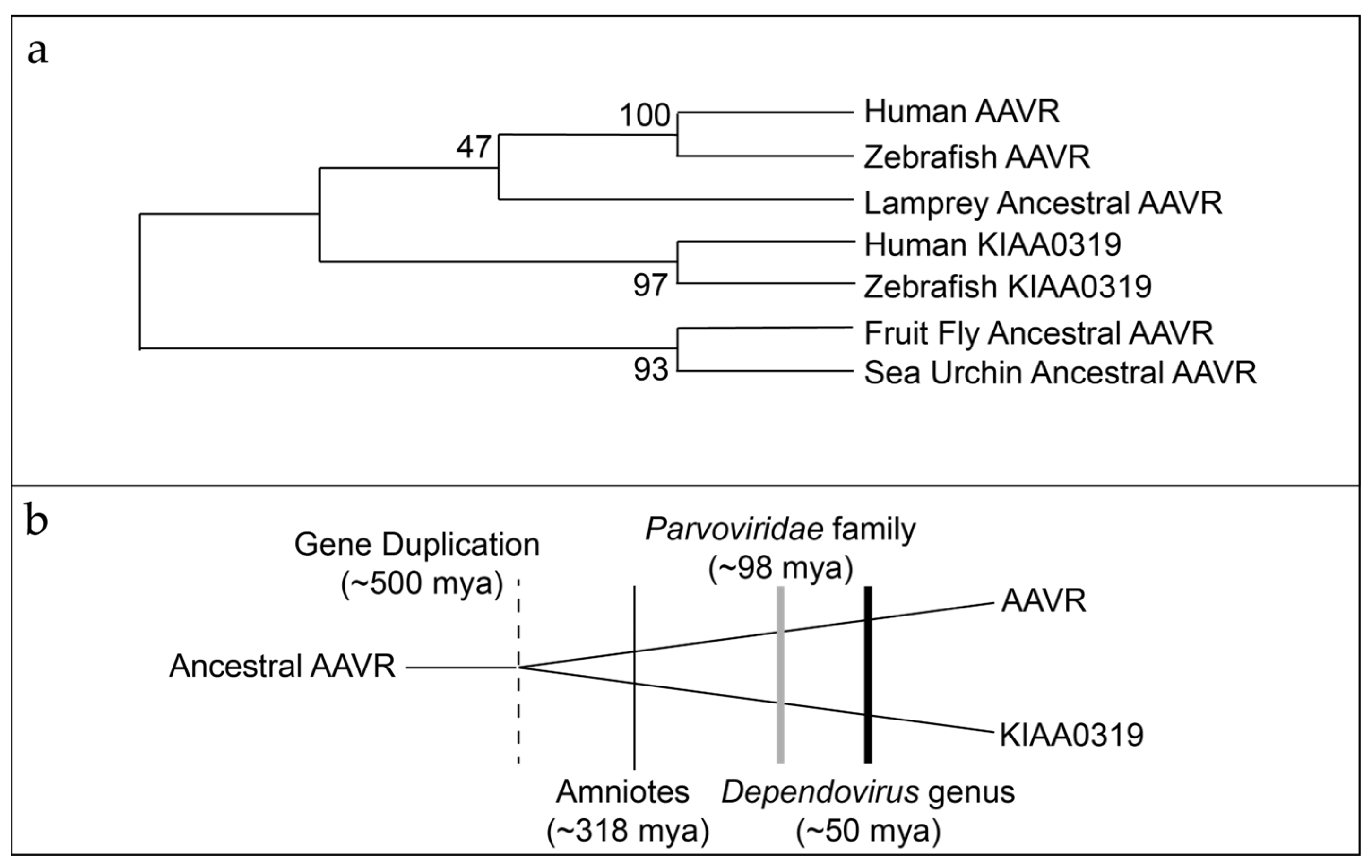Viruses 18 00744 g002 Viruses 18 00744 g002