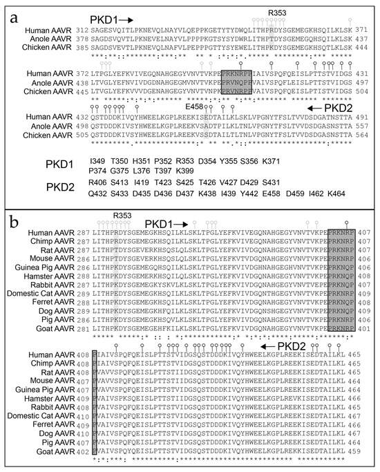 Viruses 18 00744 g004