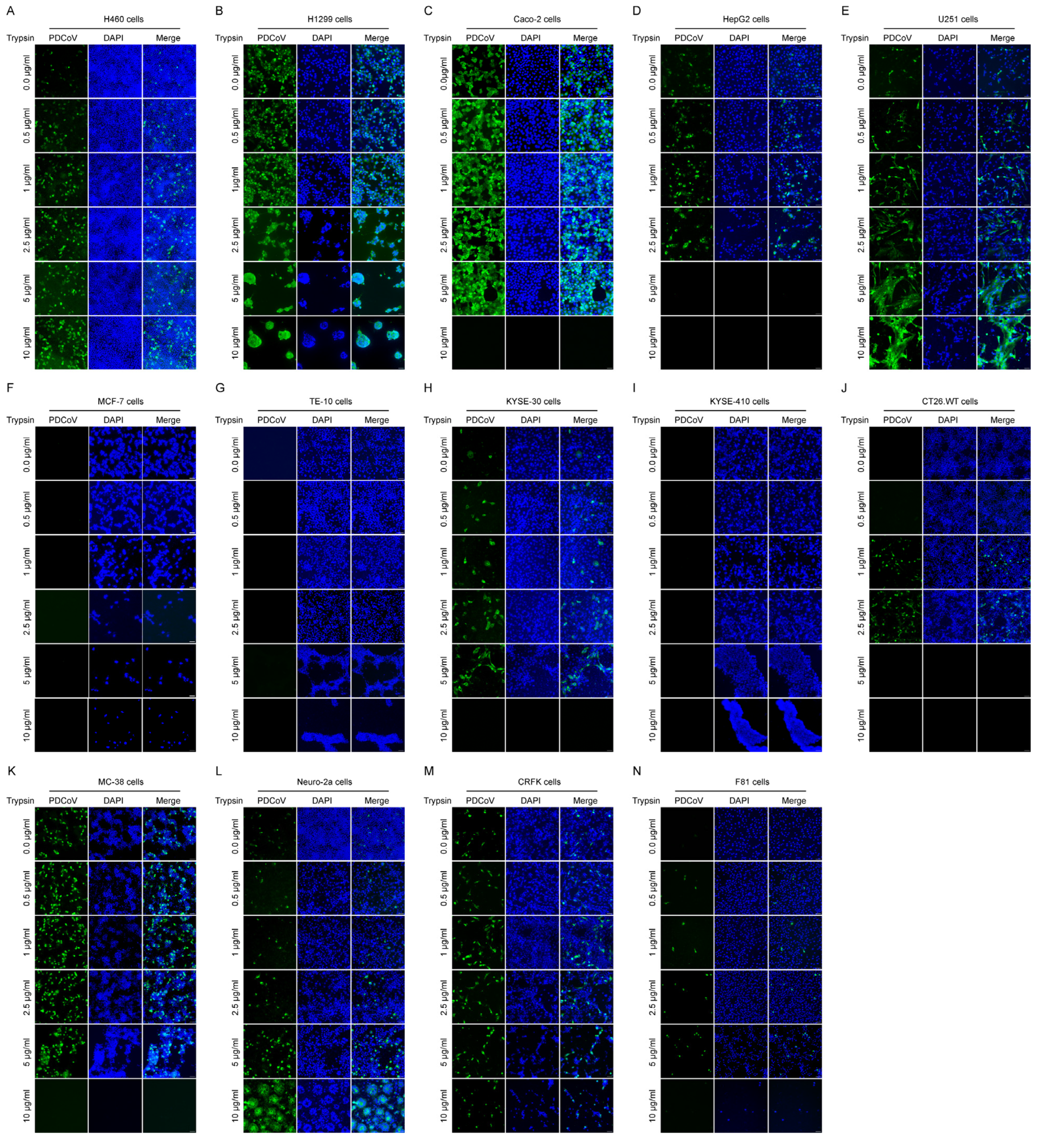 Viruses 18 00776 g001 Viruses 18 00776 g001