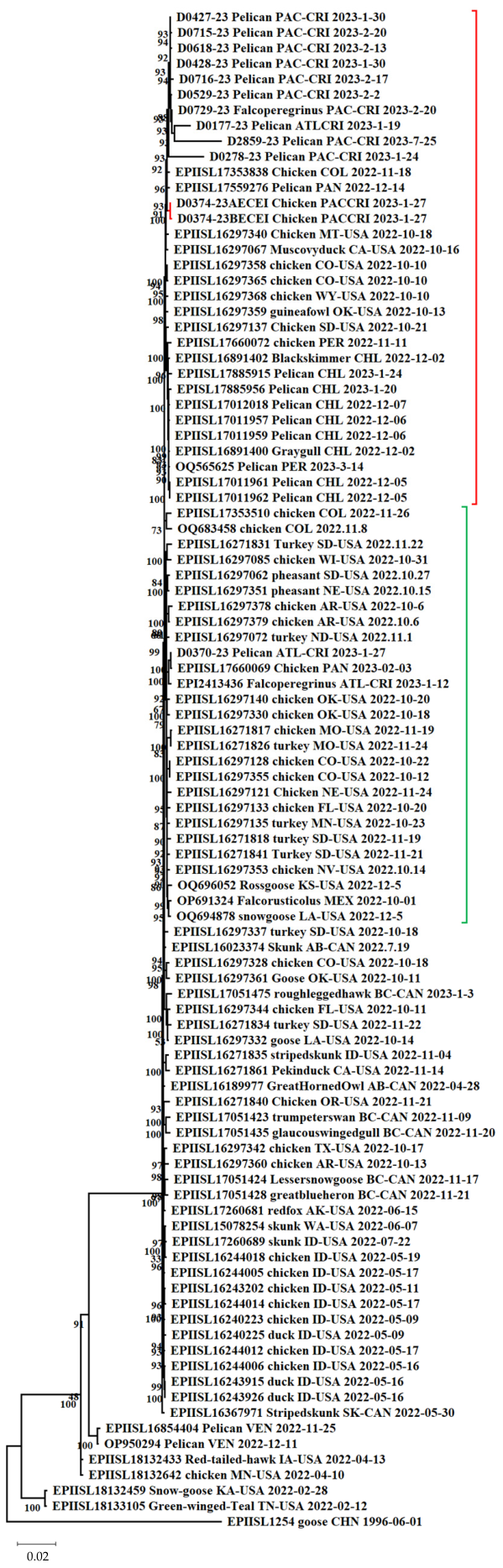Viruses 18 00799 g002