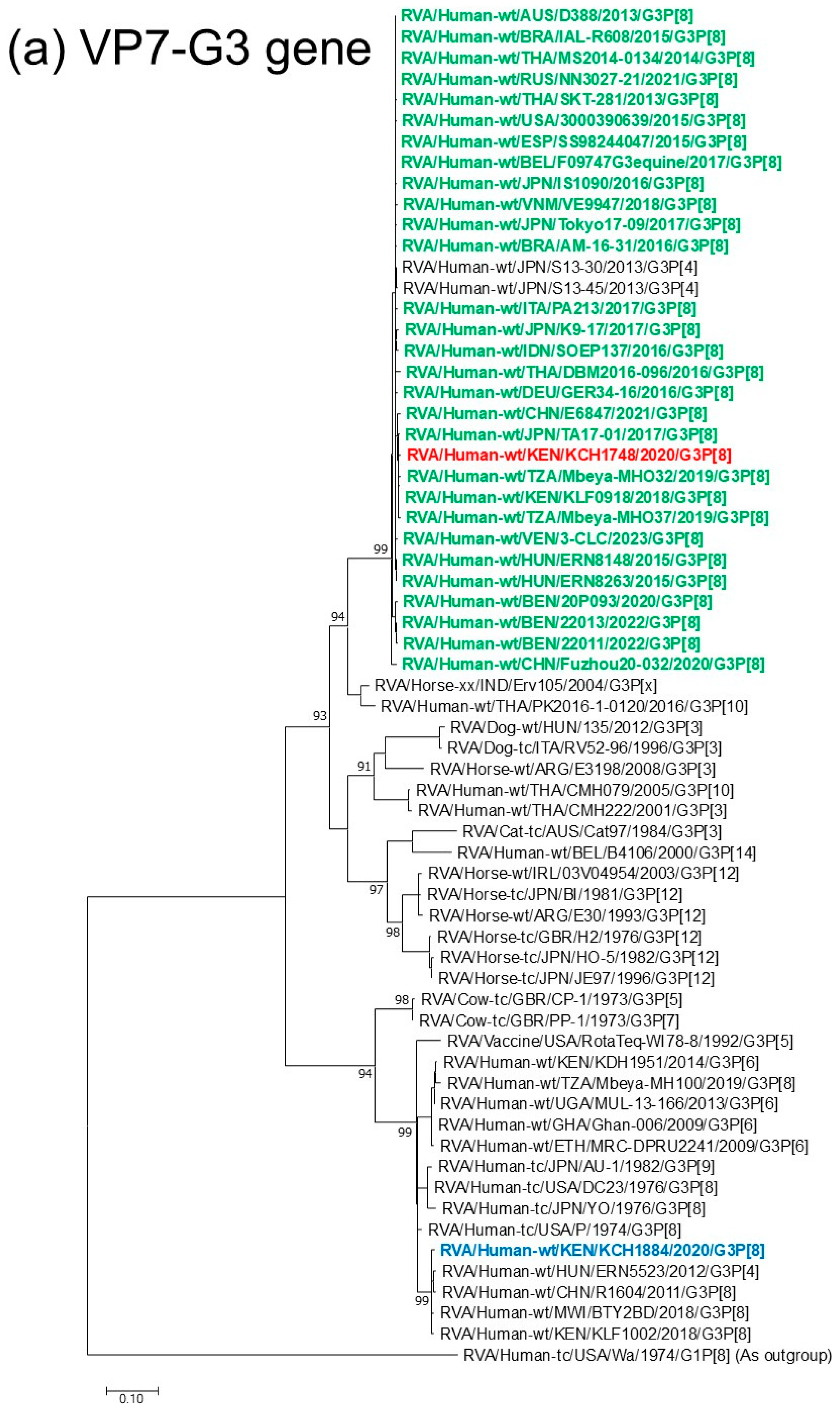 Viruses 18 00930 g001a Viruses 18 00930 g001a