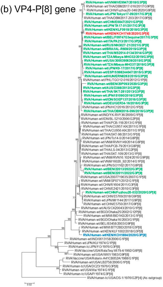Viruses 18 00930 g001b Viruses 18 00930 g001b