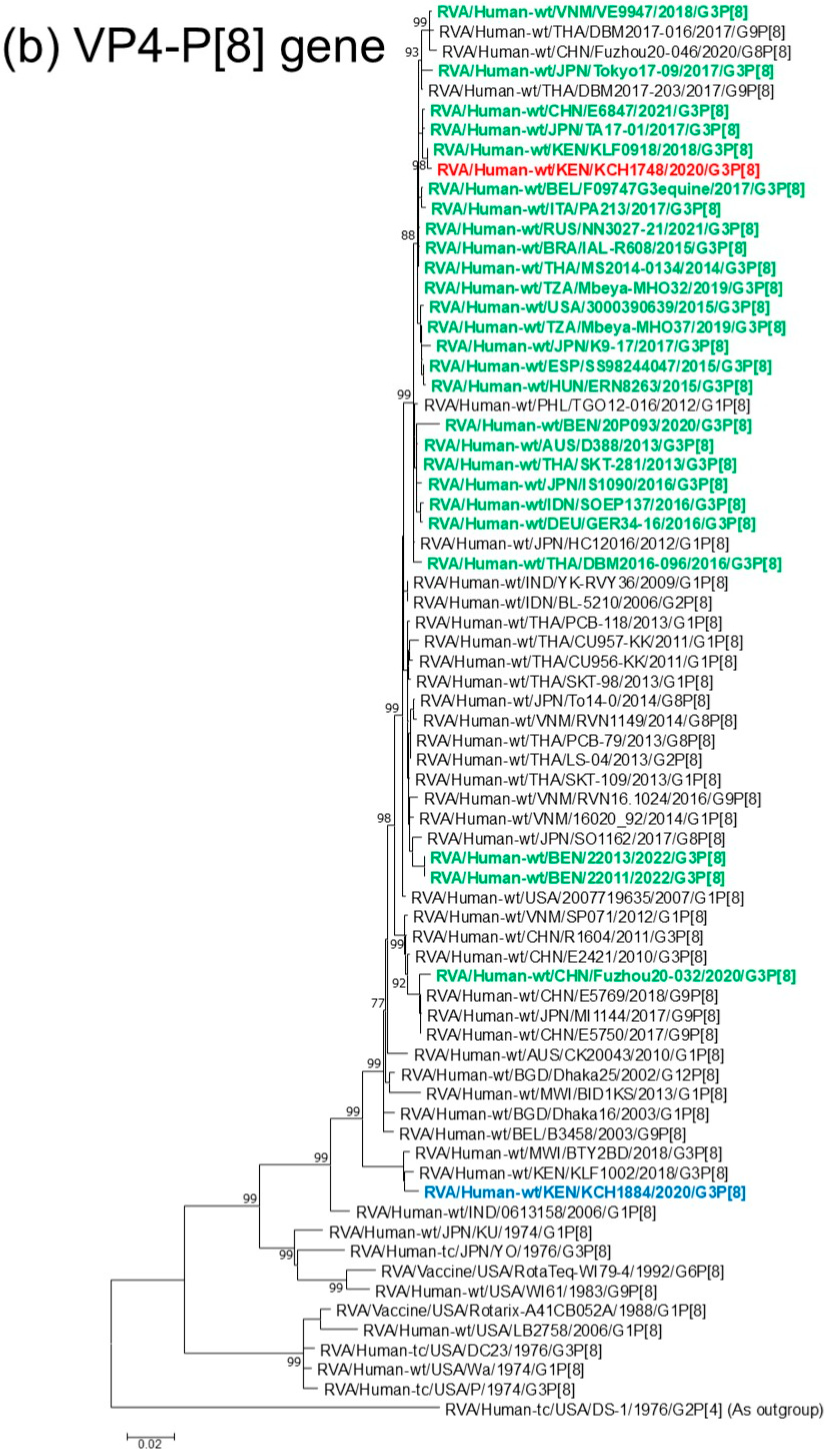 Viruses 18 00930 g001b Viruses 18 00930 g001b