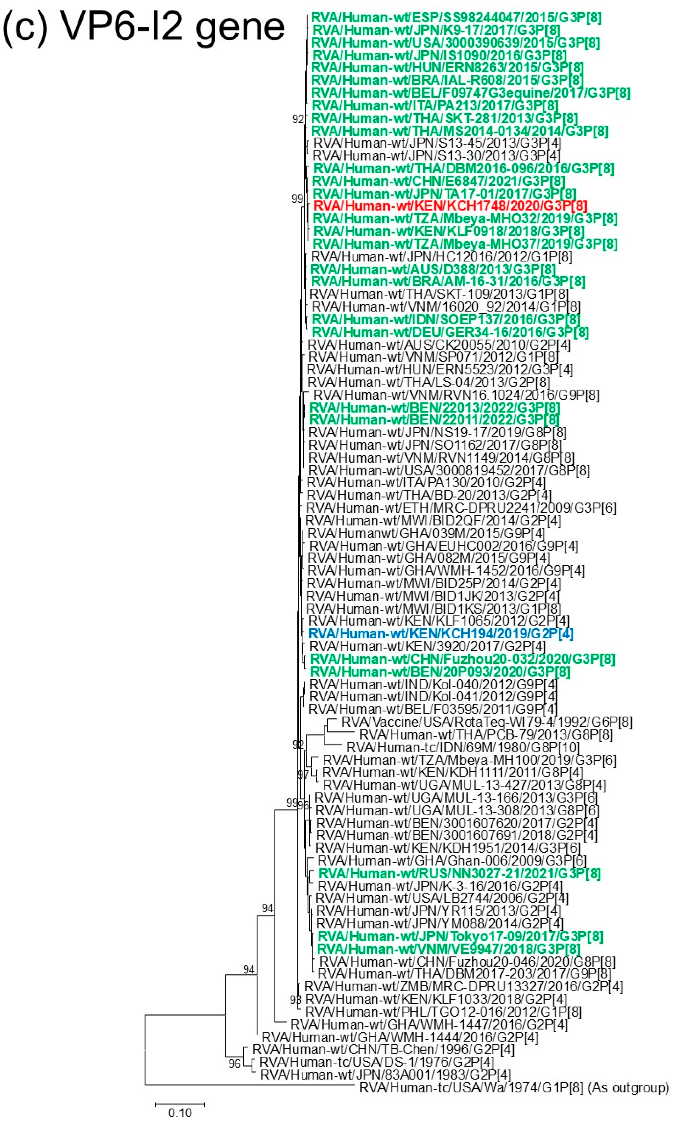 Viruses 18 00930 g001c Viruses 18 00930 g001c