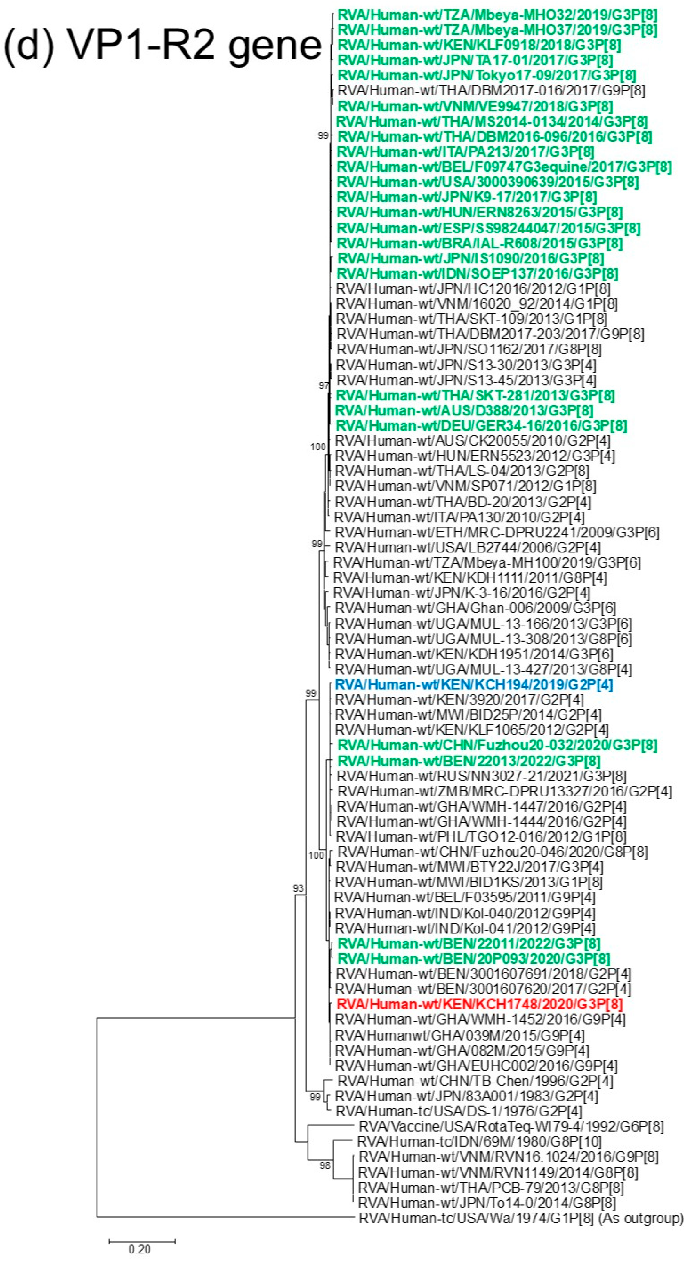 Viruses 18 00930 g001d Viruses 18 00930 g001d