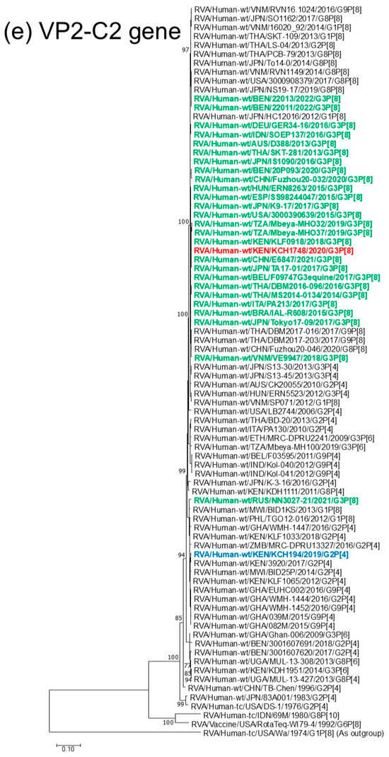 Viruses 18 00930 g001e Viruses 18 00930 g001e