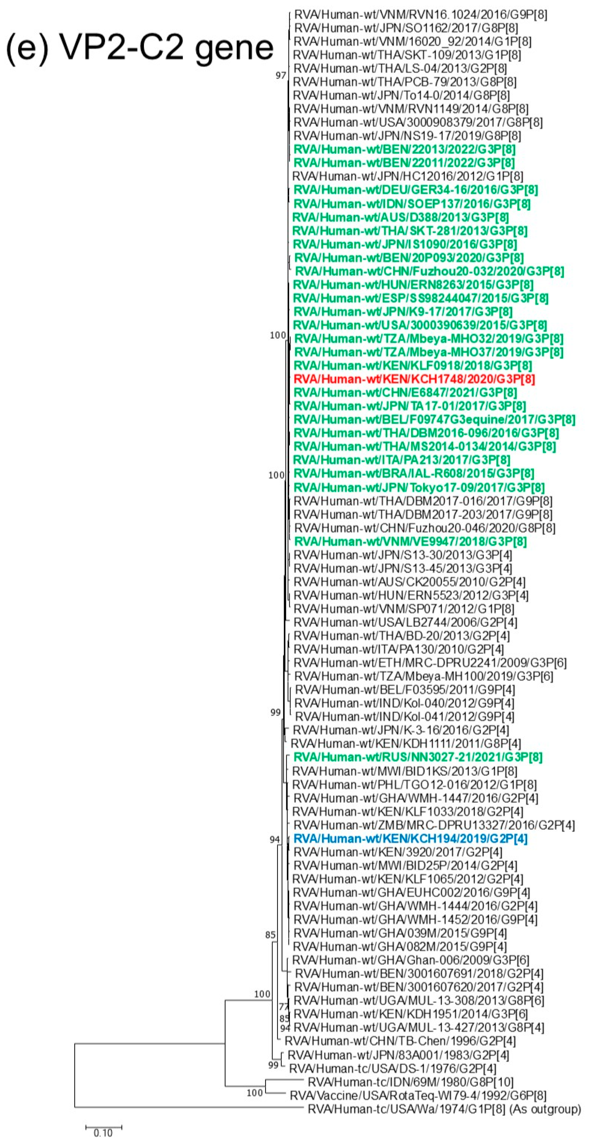 Viruses 18 00930 g001e Viruses 18 00930 g001e