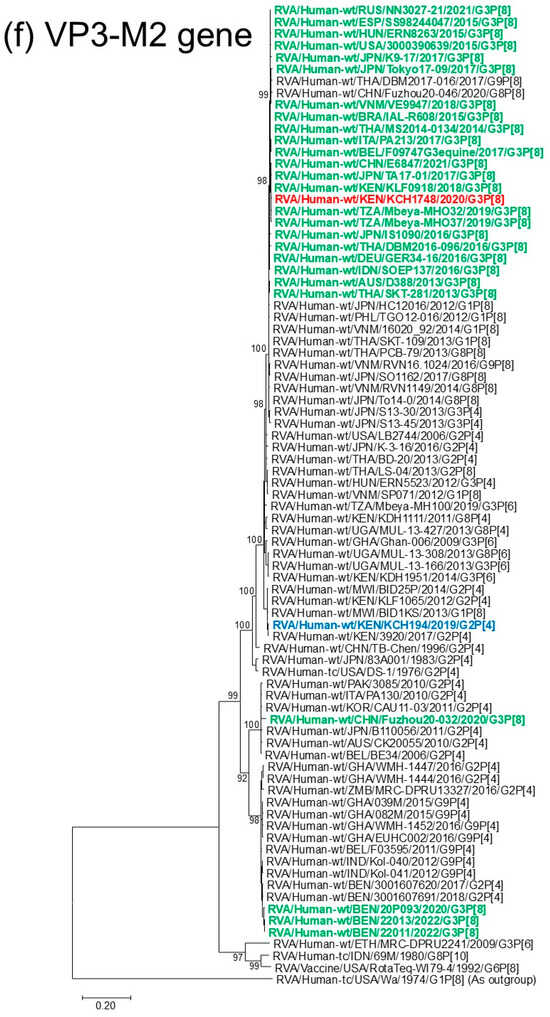 Viruses 18 00930 g001f Viruses 18 00930 g001f