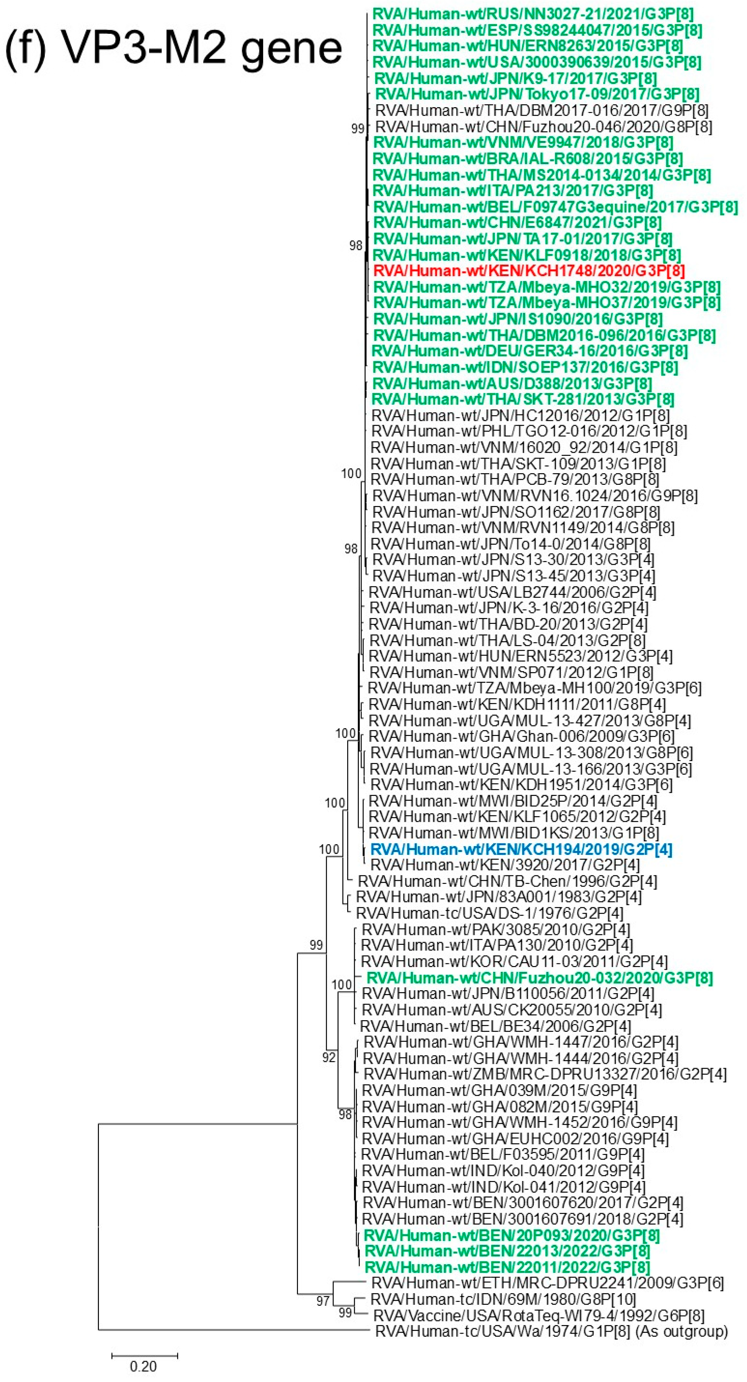 Viruses 18 00930 g001f Viruses 18 00930 g001f