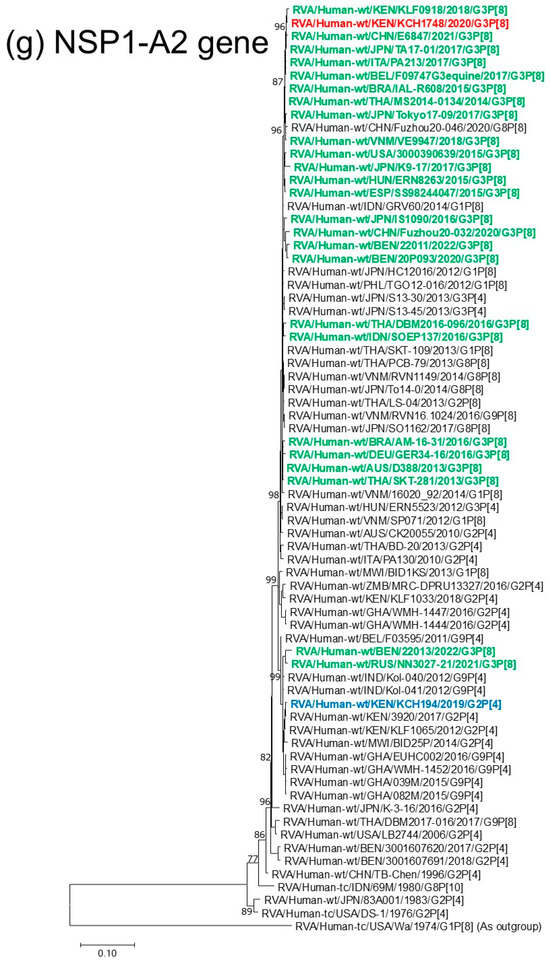 Viruses 18 00930 g001g Viruses 18 00930 g001g