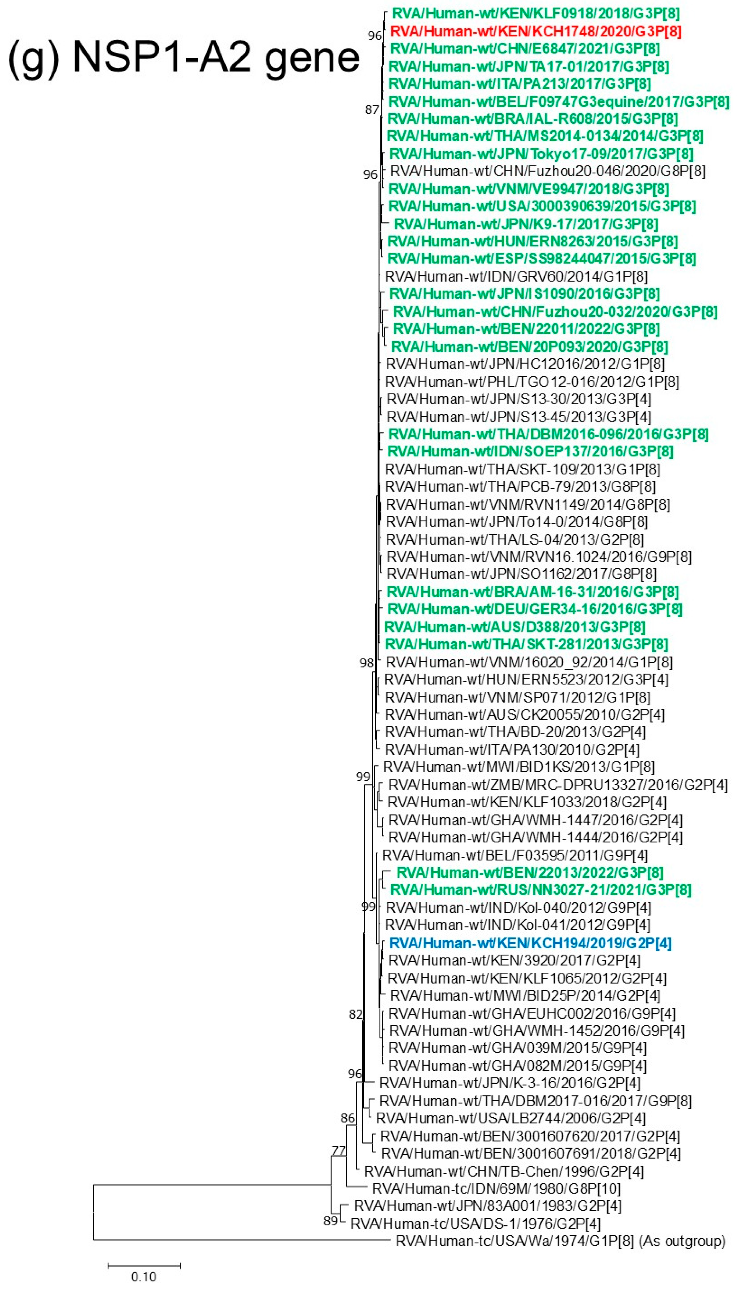 Viruses 18 00930 g001g Viruses 18 00930 g001g