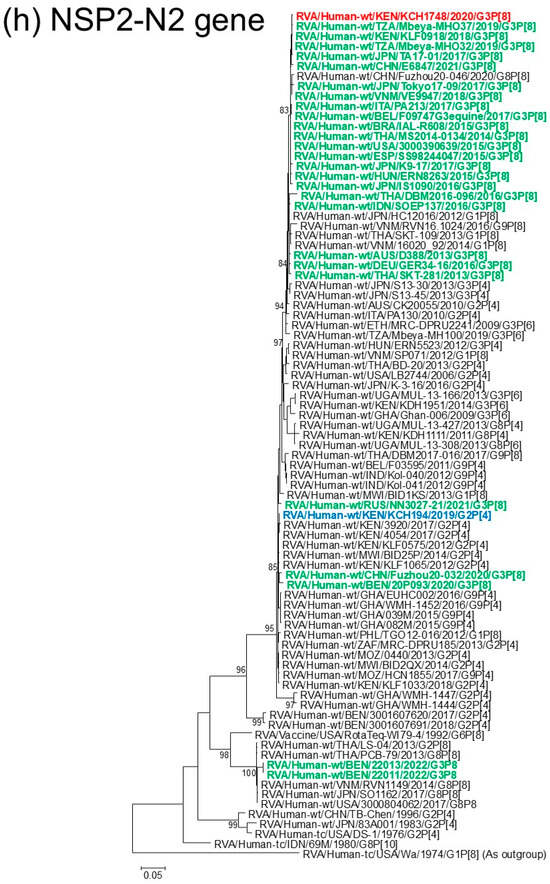 Viruses 18 00930 g001h Viruses 18 00930 g001h