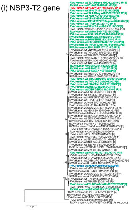 Viruses 18 00930 g001i Viruses 18 00930 g001i
