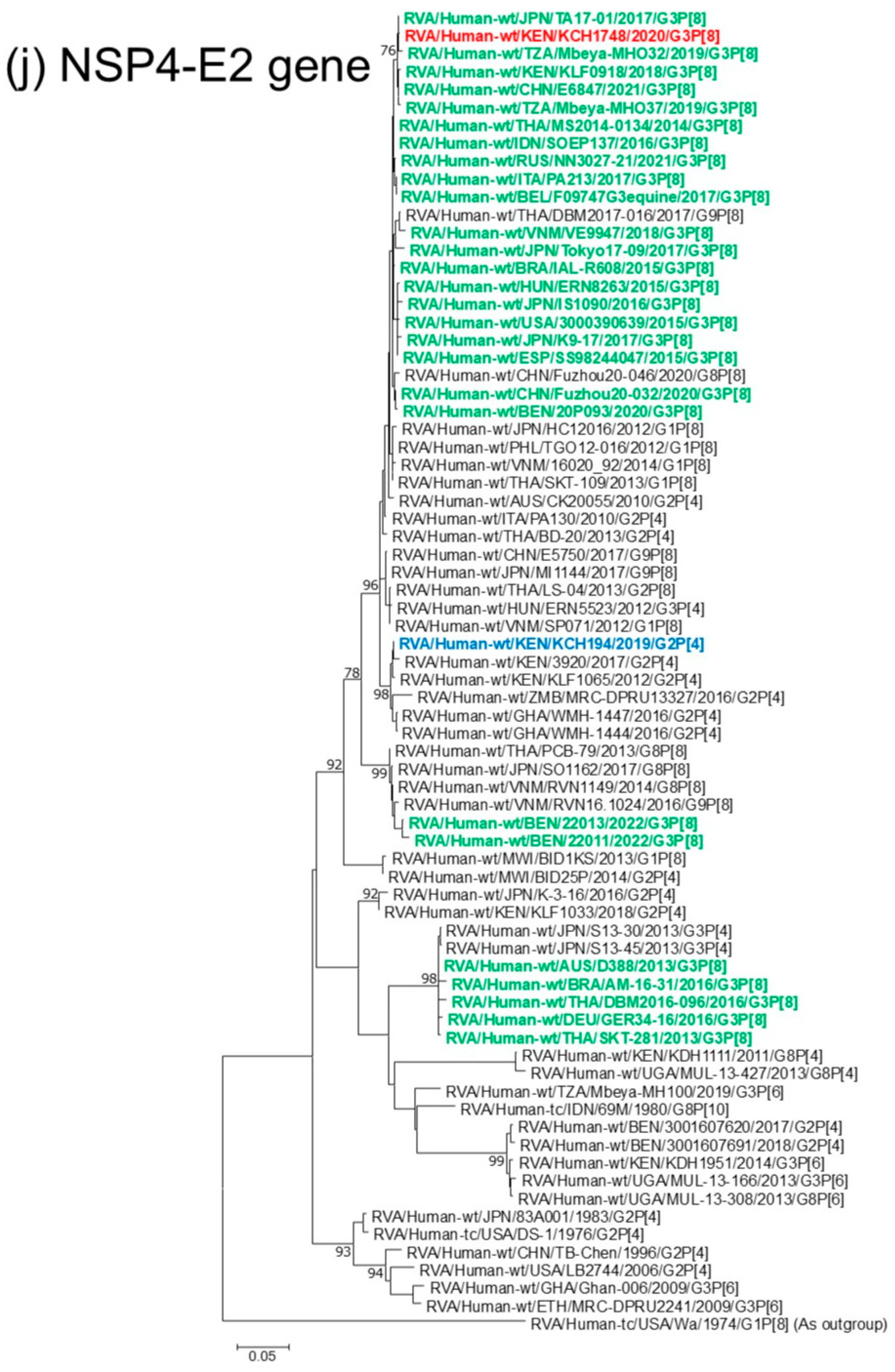 Viruses 18 00930 g001j Viruses 18 00930 g001j