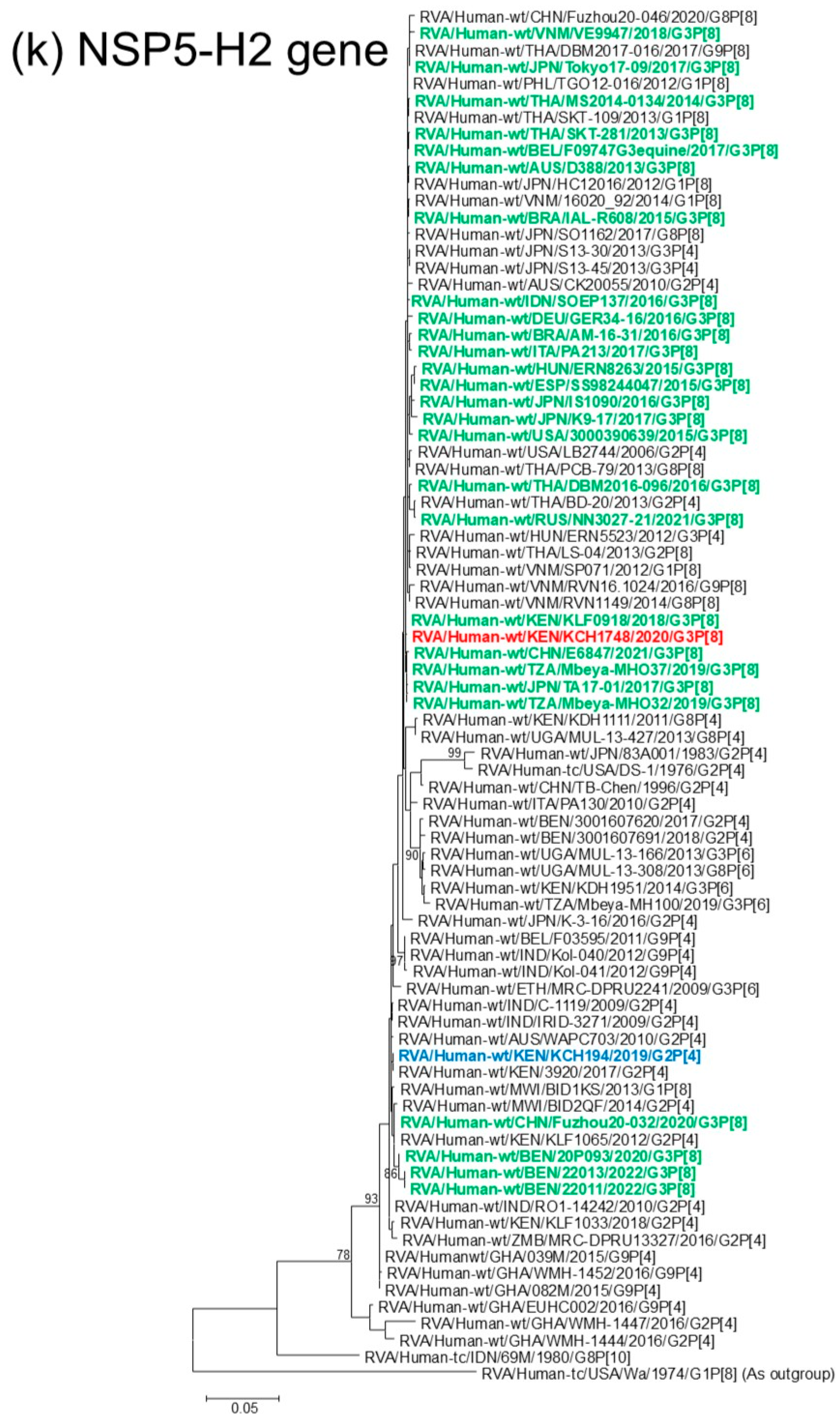 Viruses 18 00930 g001k Viruses 18 00930 g001k